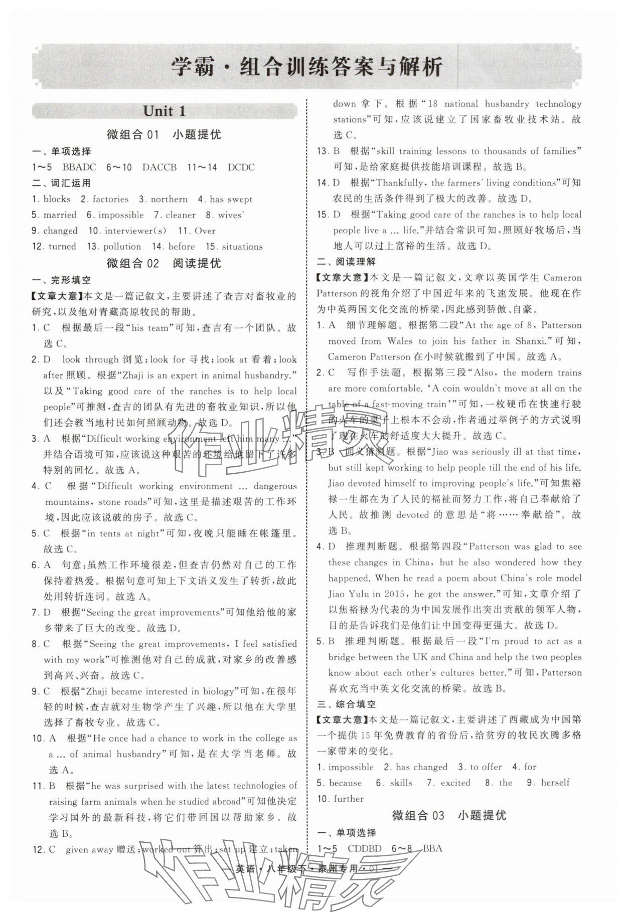 2025年學(xué)霸組合訓(xùn)練八年級(jí)英語下冊譯林版泰州專版 第1頁