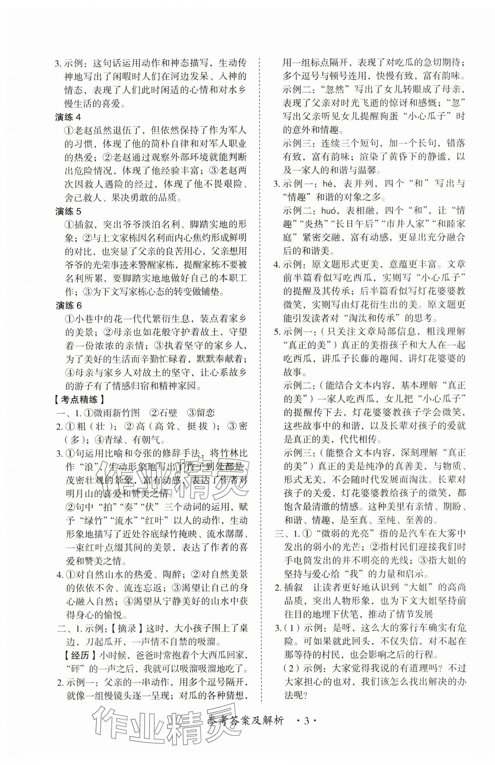 2025年中考新思维语文江西专版&nbsp;第3页