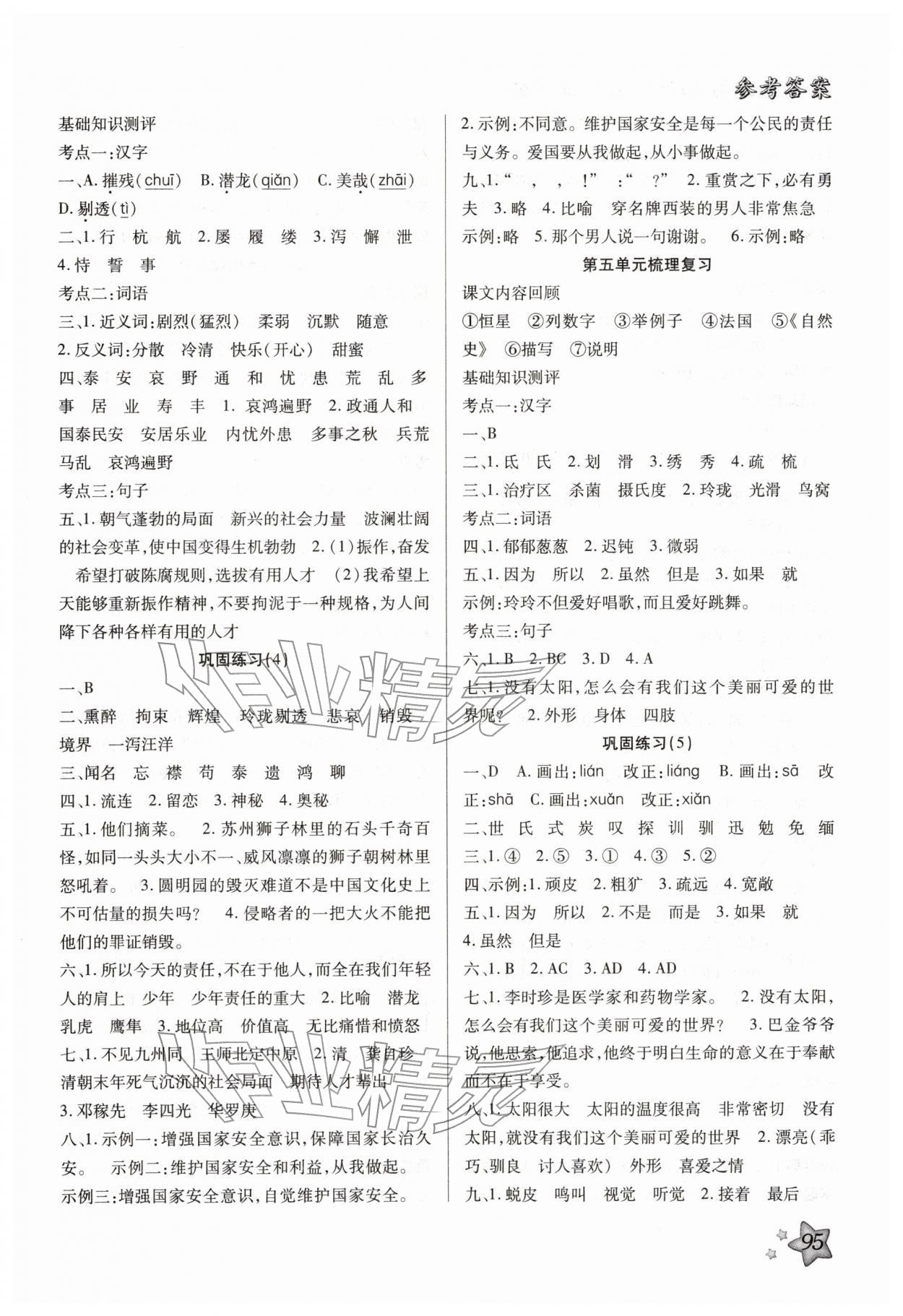 2026年轻松总复习寒假作业30天五年级语文&nbsp;第3页