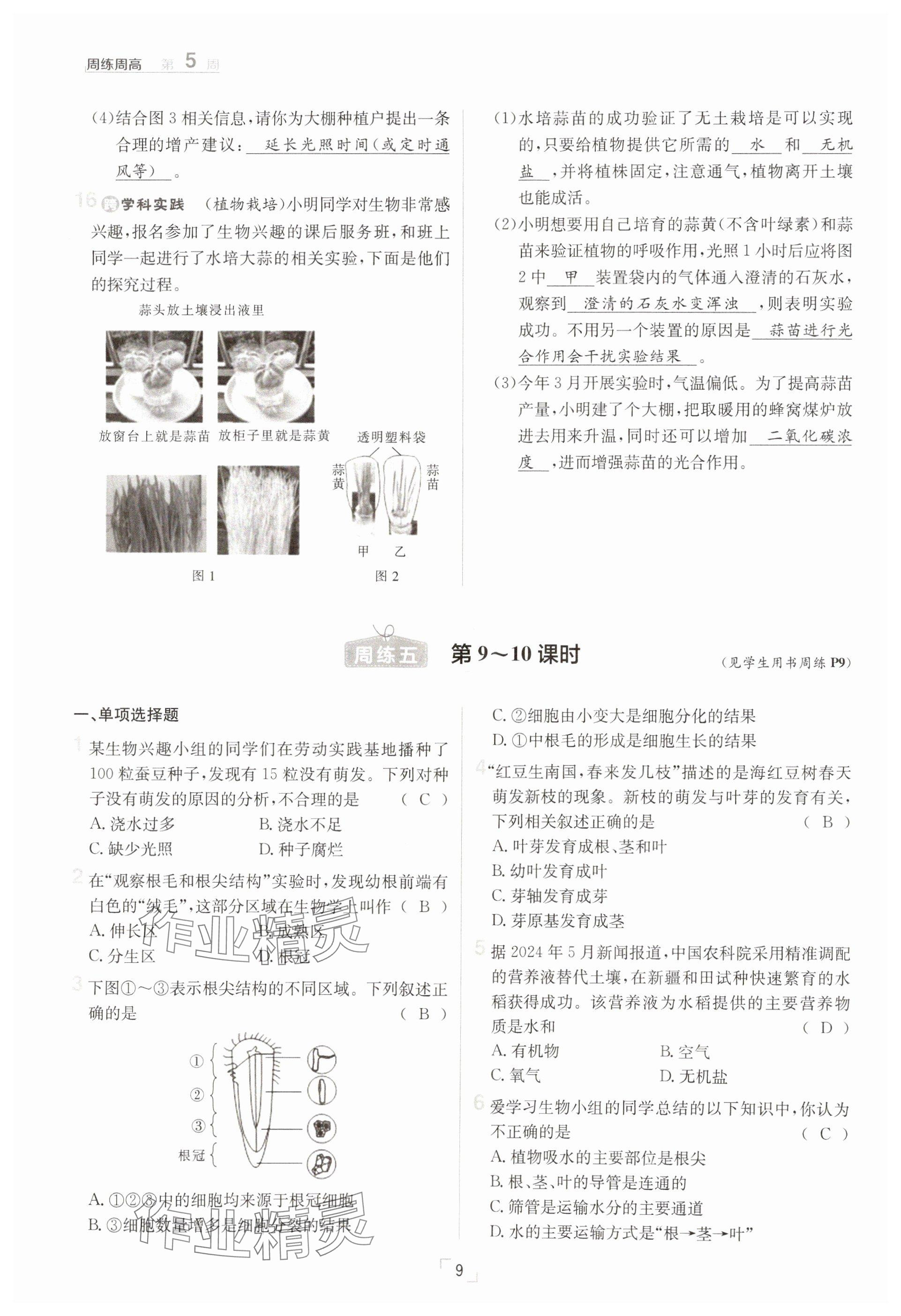 2025年日清周練七年級生物下冊人教版 參考答案第9頁