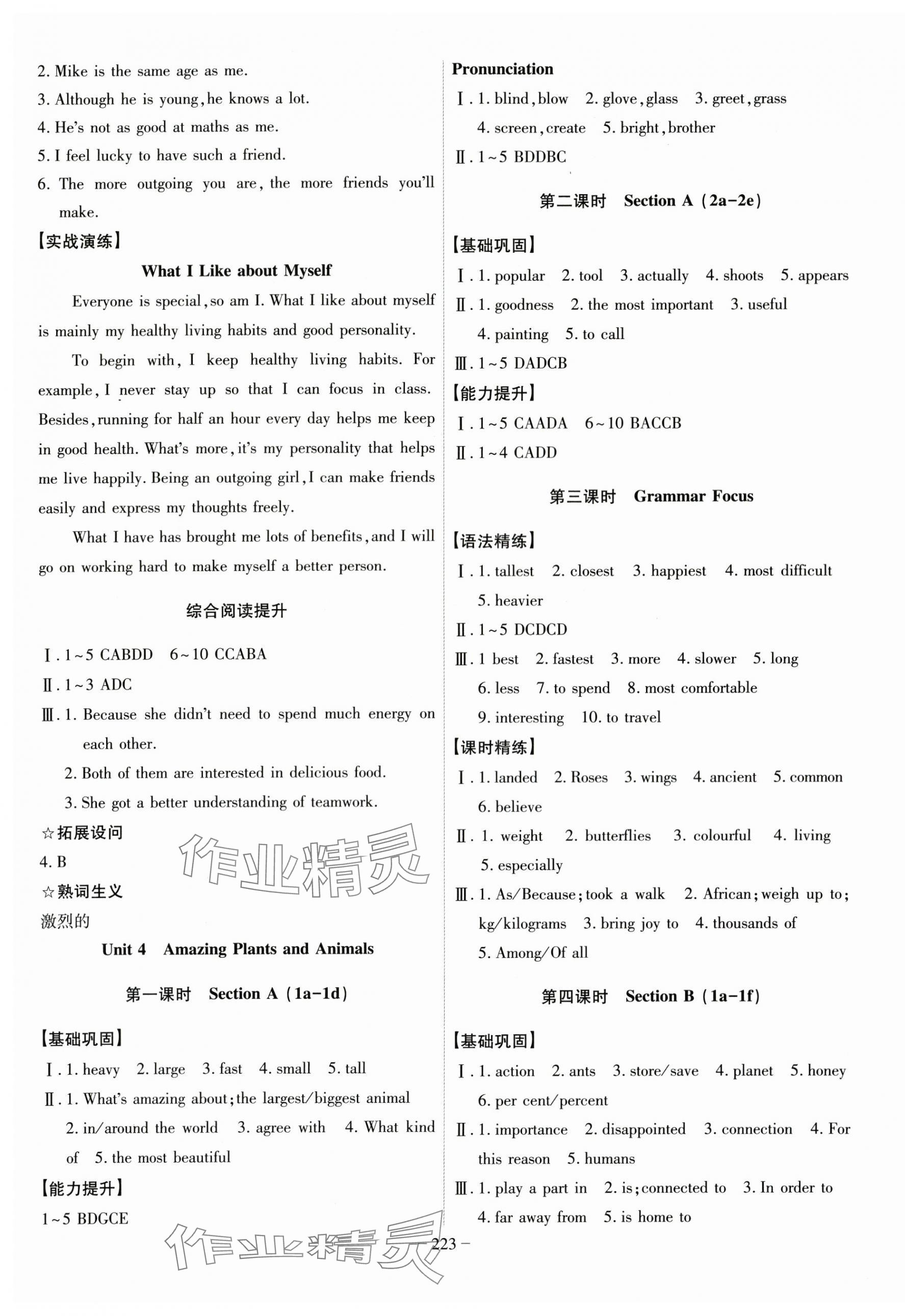 2025年课时A计划八年级英语上册人教版&nbsp;第5页