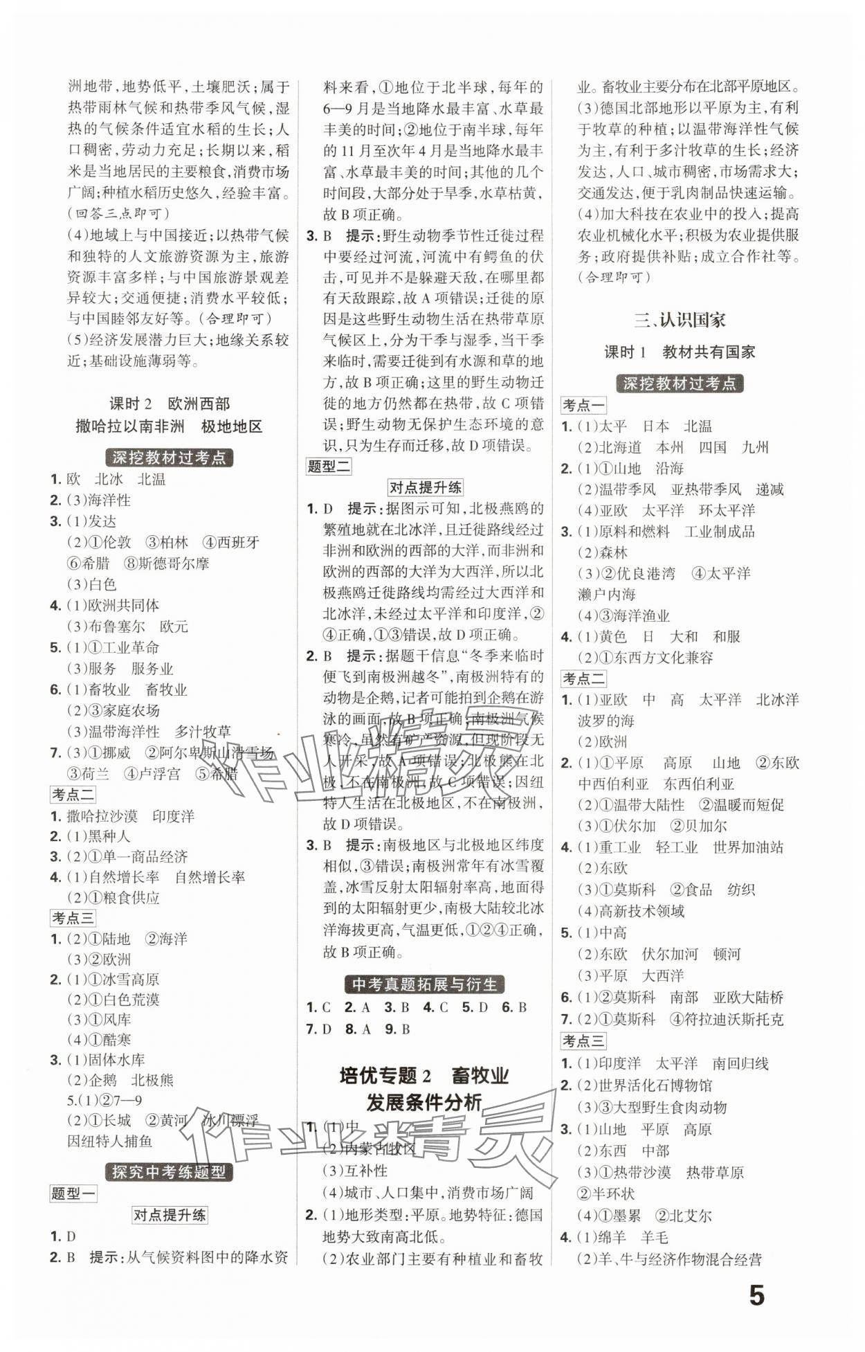 2025年全优中考系统总复习地理河北专版 第5页