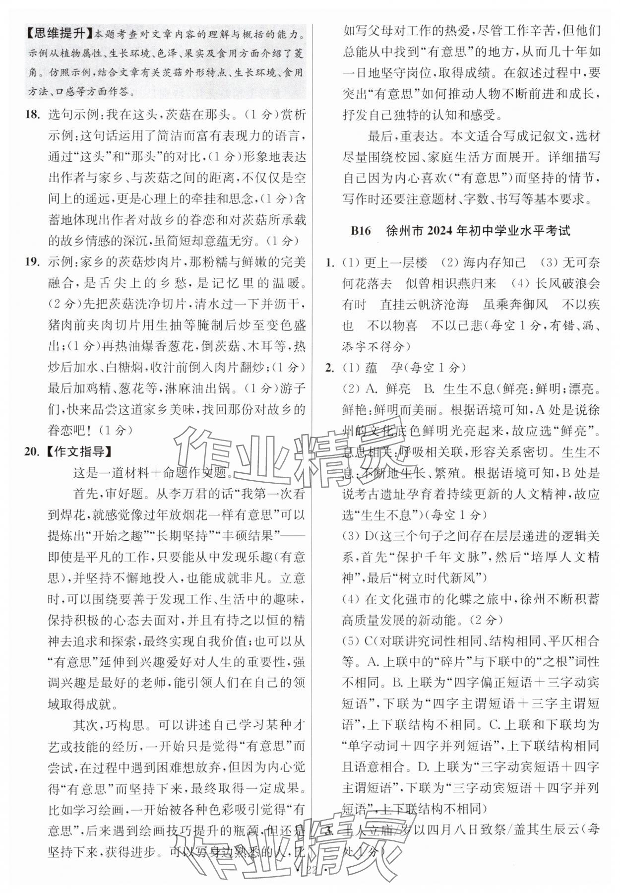 2025年江蘇13大市中考試卷與標(biāo)準(zhǔn)模擬優(yōu)化38套中考語文提優(yōu)版 第22頁