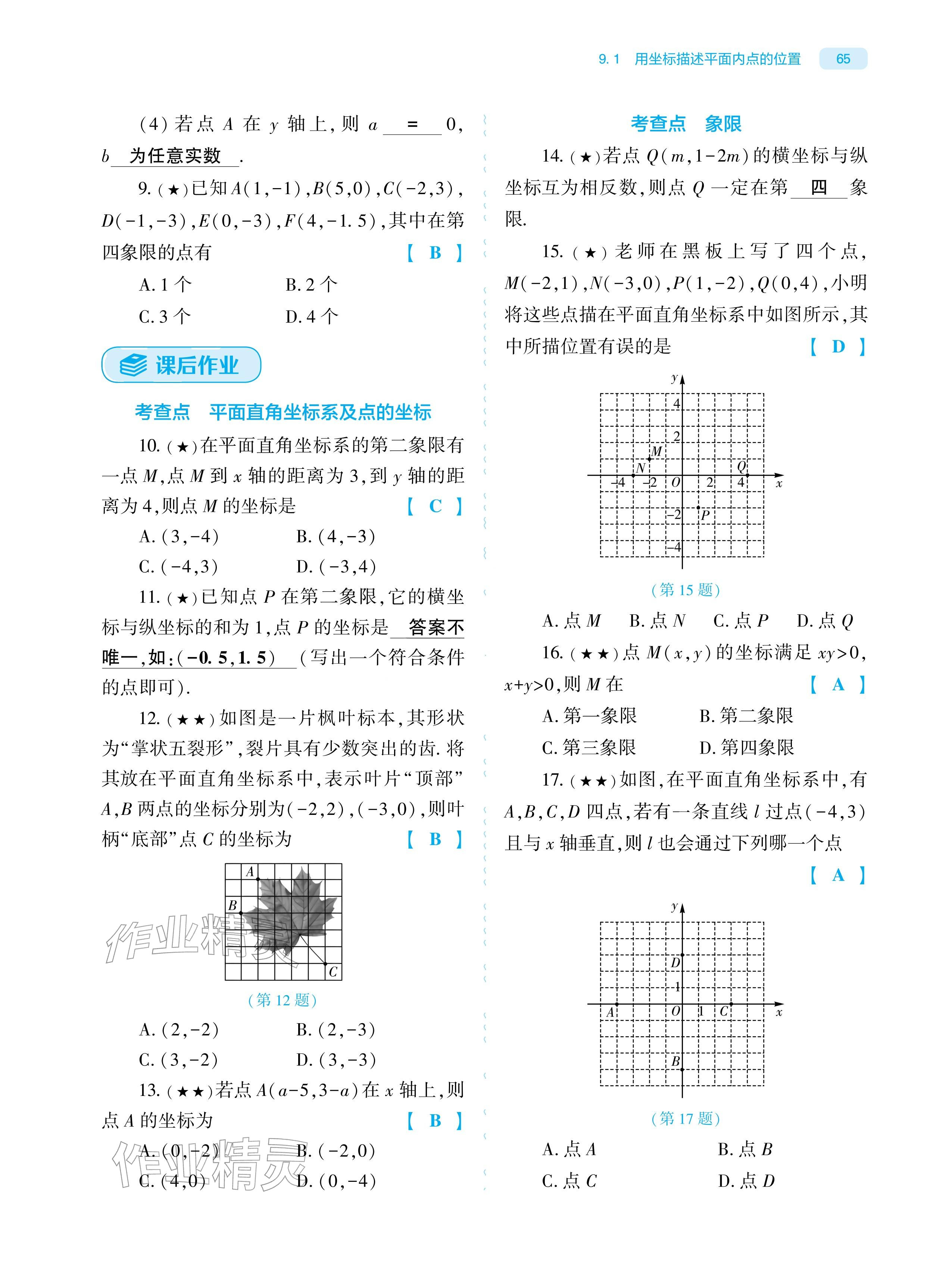 2026年基础训练大象出版社七年级数学下册人教版&nbsp;参考答案第65页