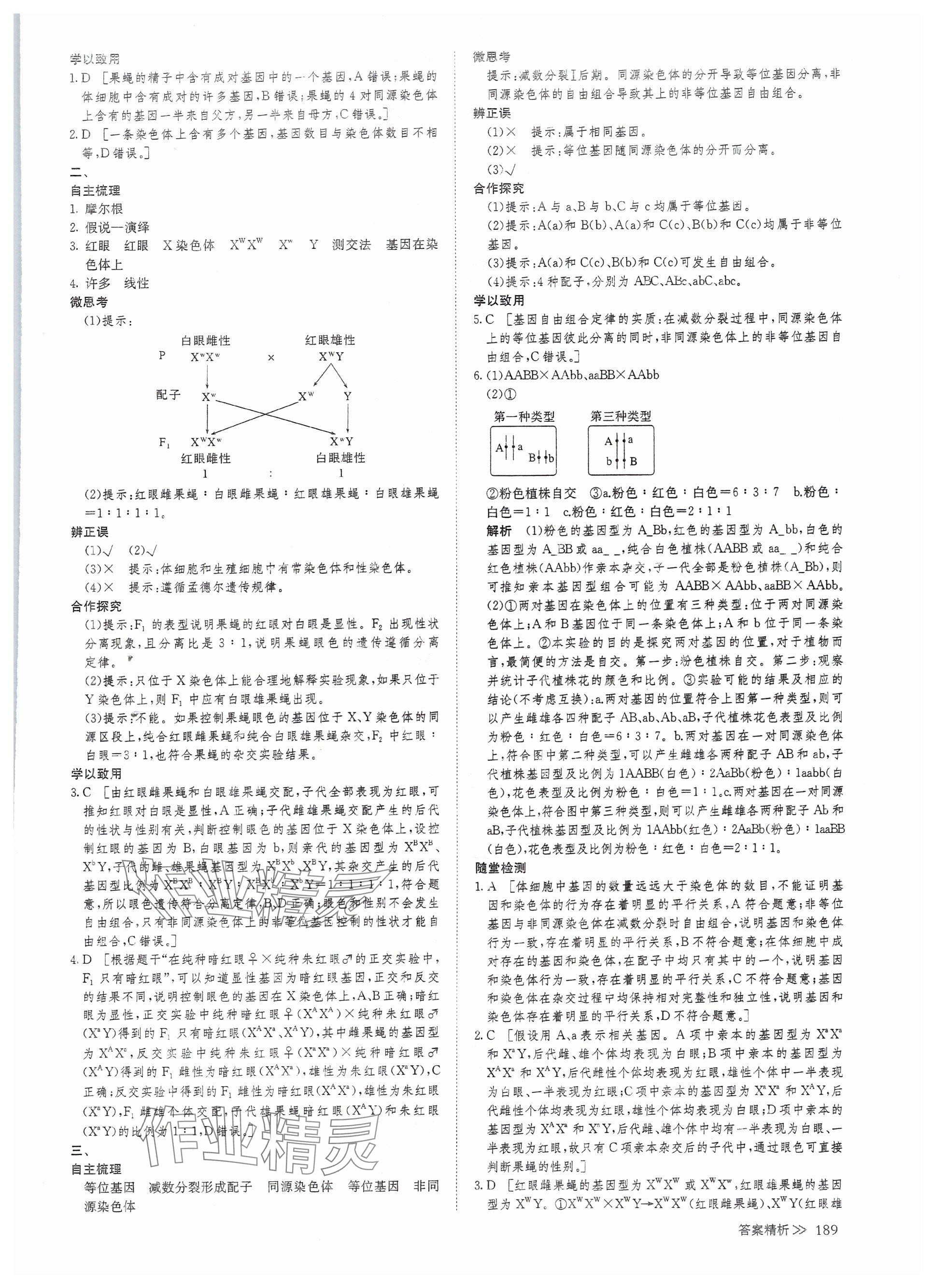 2025年創新設計高中生物必修2人教版 參考答案第14頁