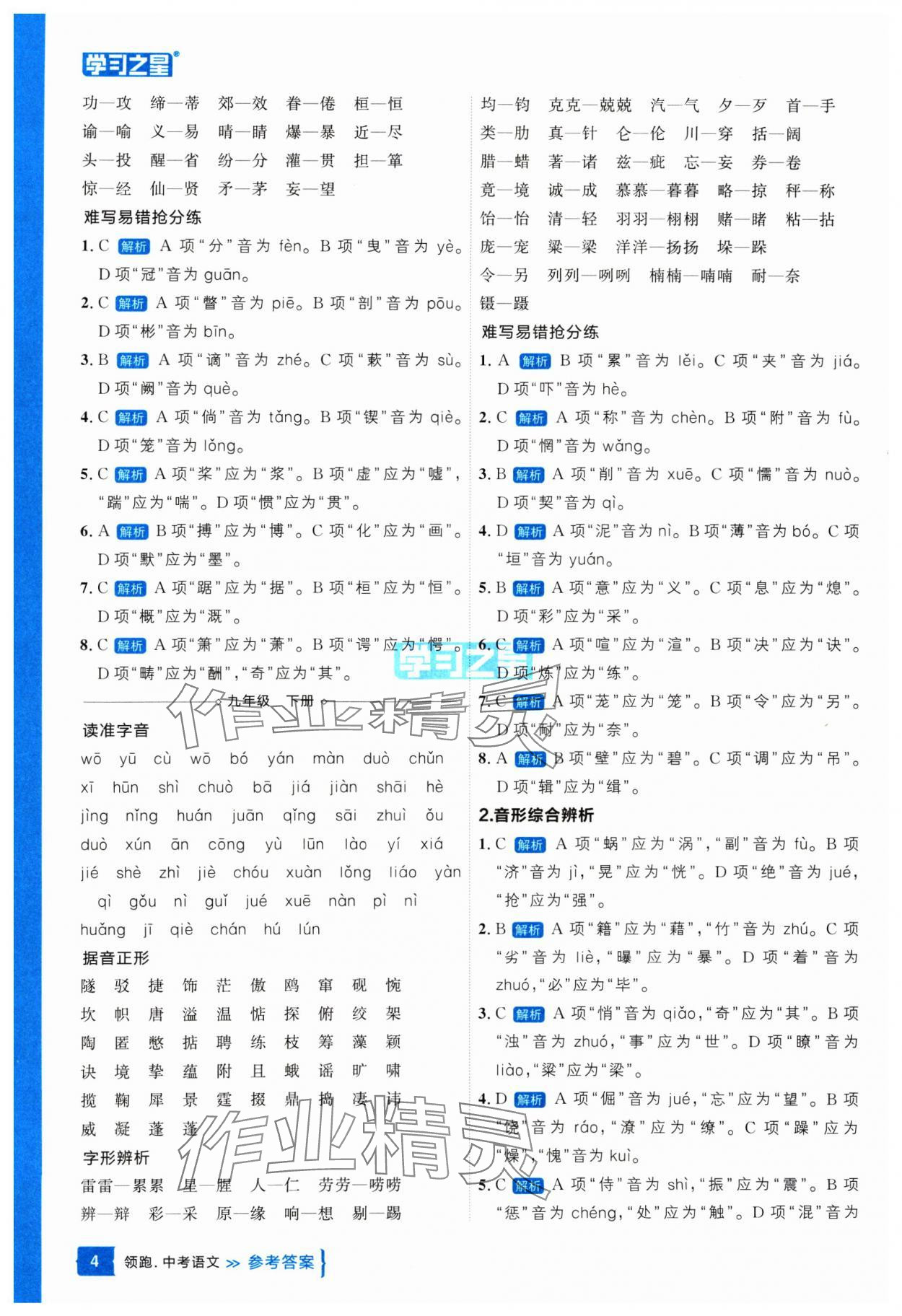 25年領(lǐng)跑中考語(yǔ)文一輪總復(fù)習(xí)遼寧專(zhuān)版 參考答案第4頁(yè)