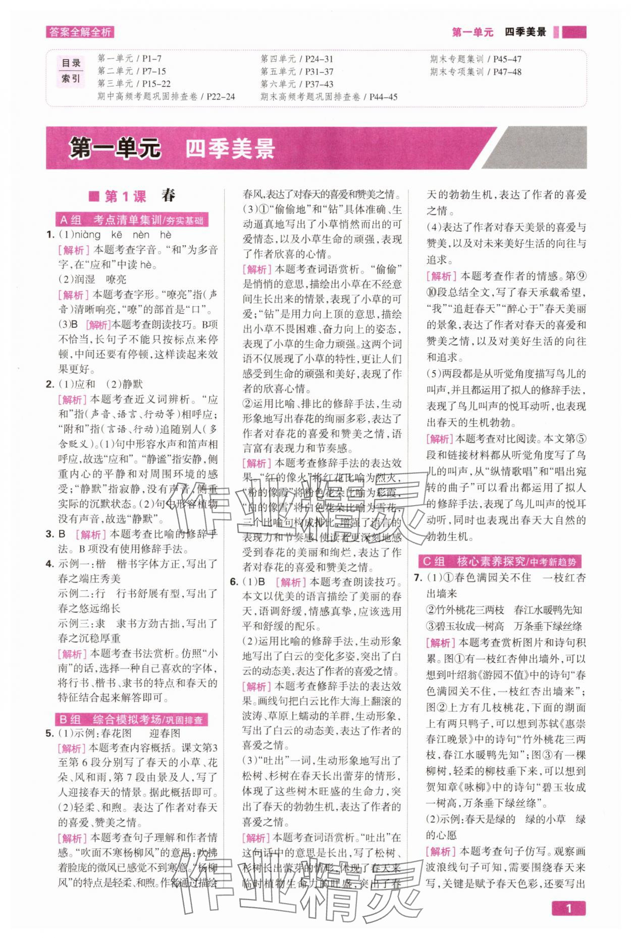 2025年考点集训与满分备考七年级语文上册人教版 第1页