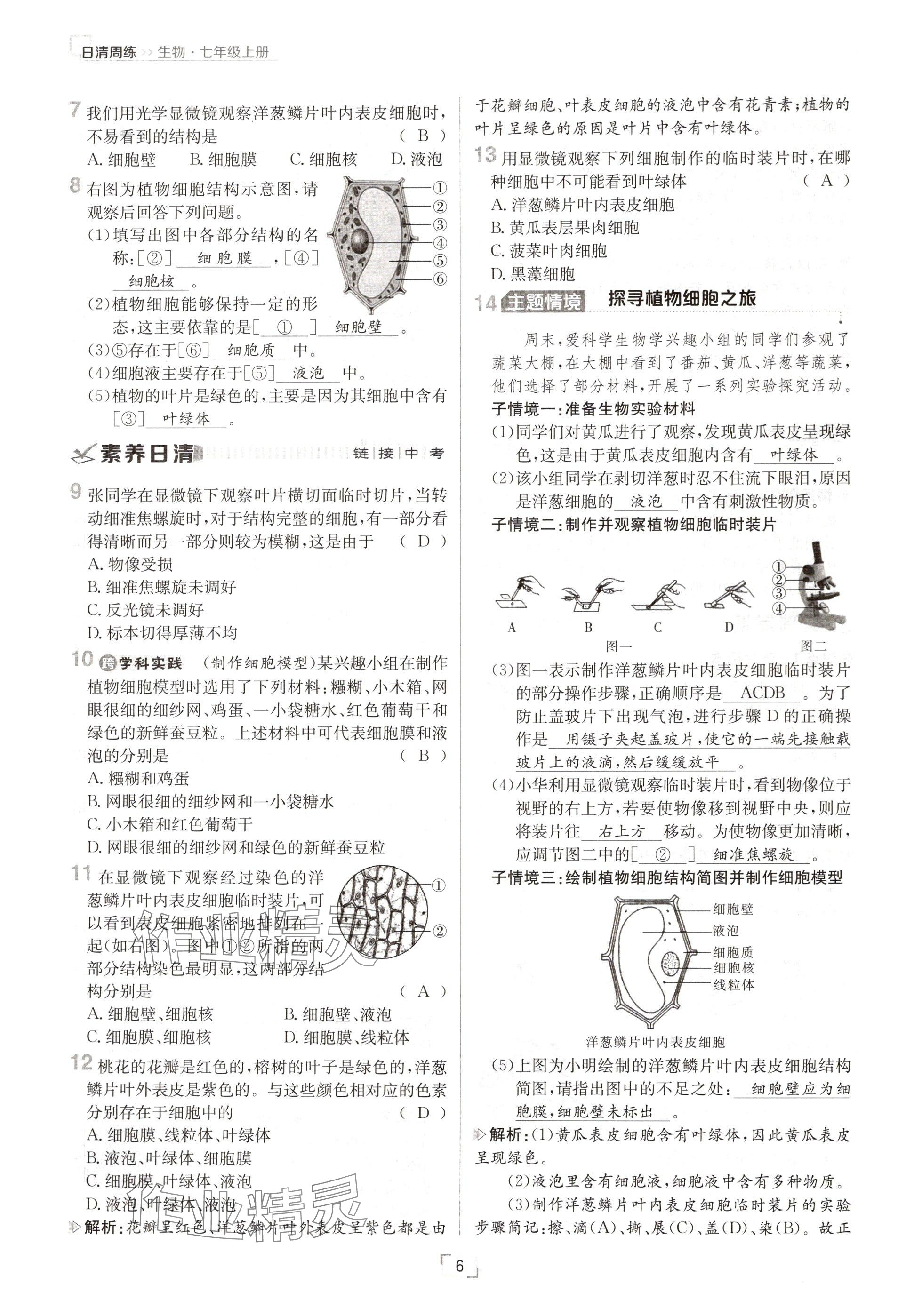 2024年日清周練七年級(jí)生物上冊(cè)人教版 參考答案第6頁(yè)