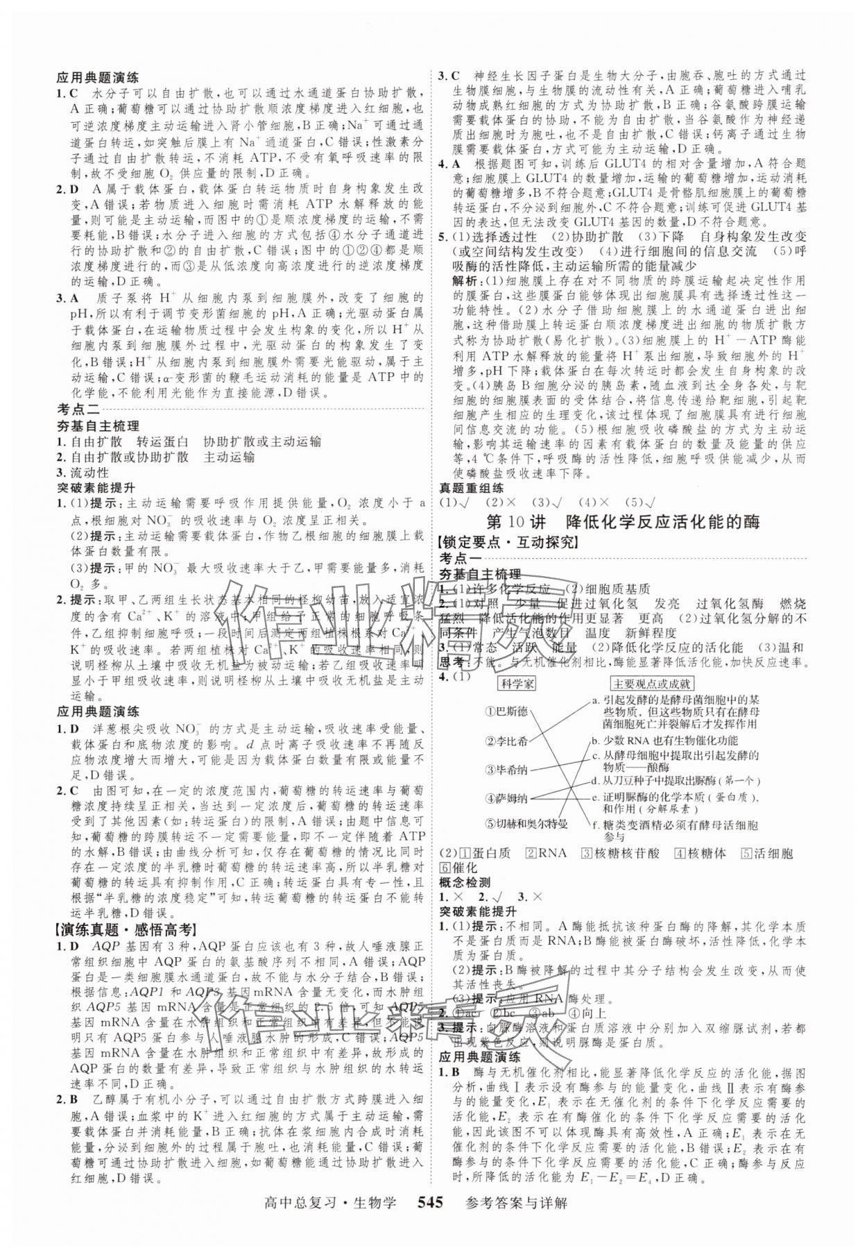 2024年三维设计生物 参考答案第9页