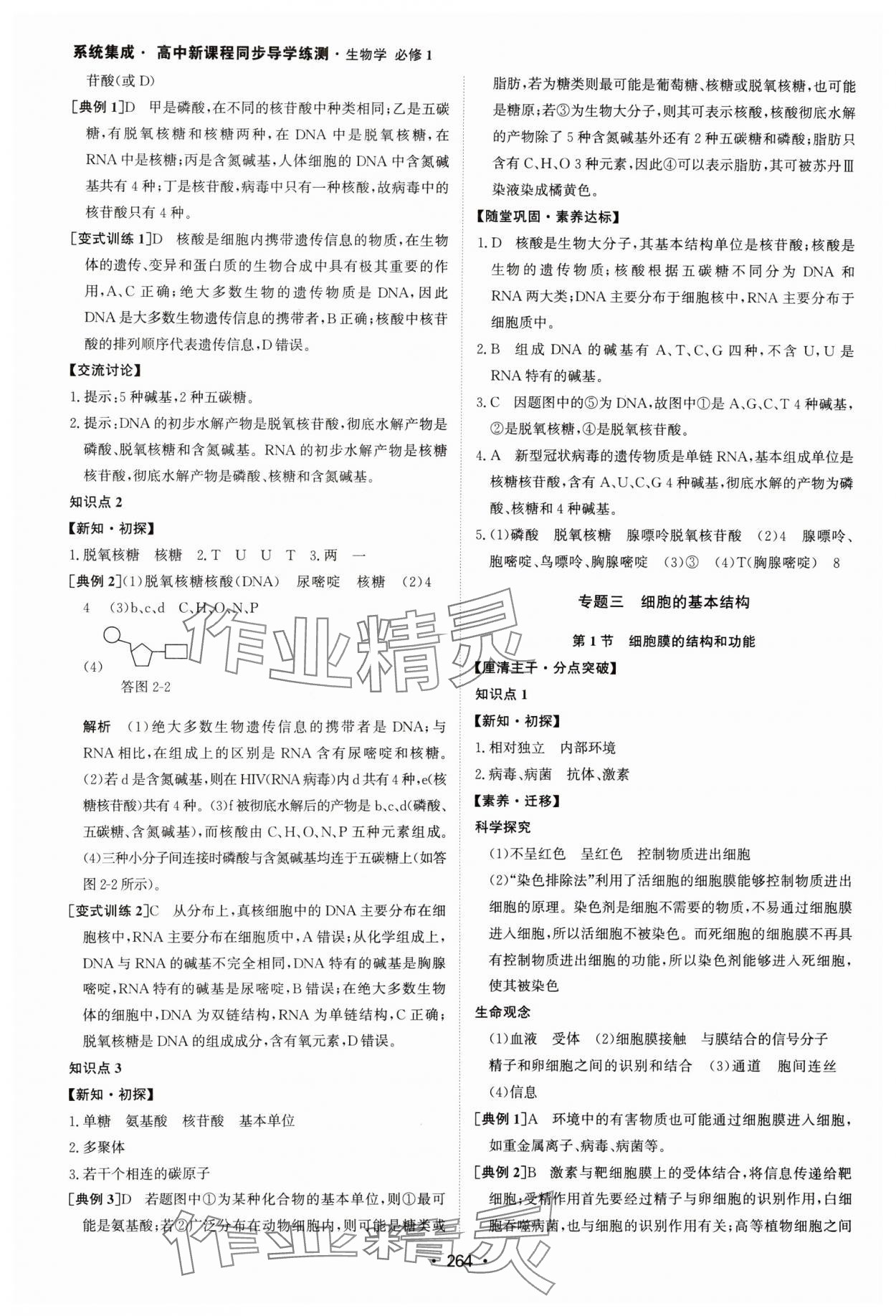 2024年系統(tǒng)集成新課程同步導(dǎo)學(xué)練測高中生物必修1人教版 參考答案第6頁