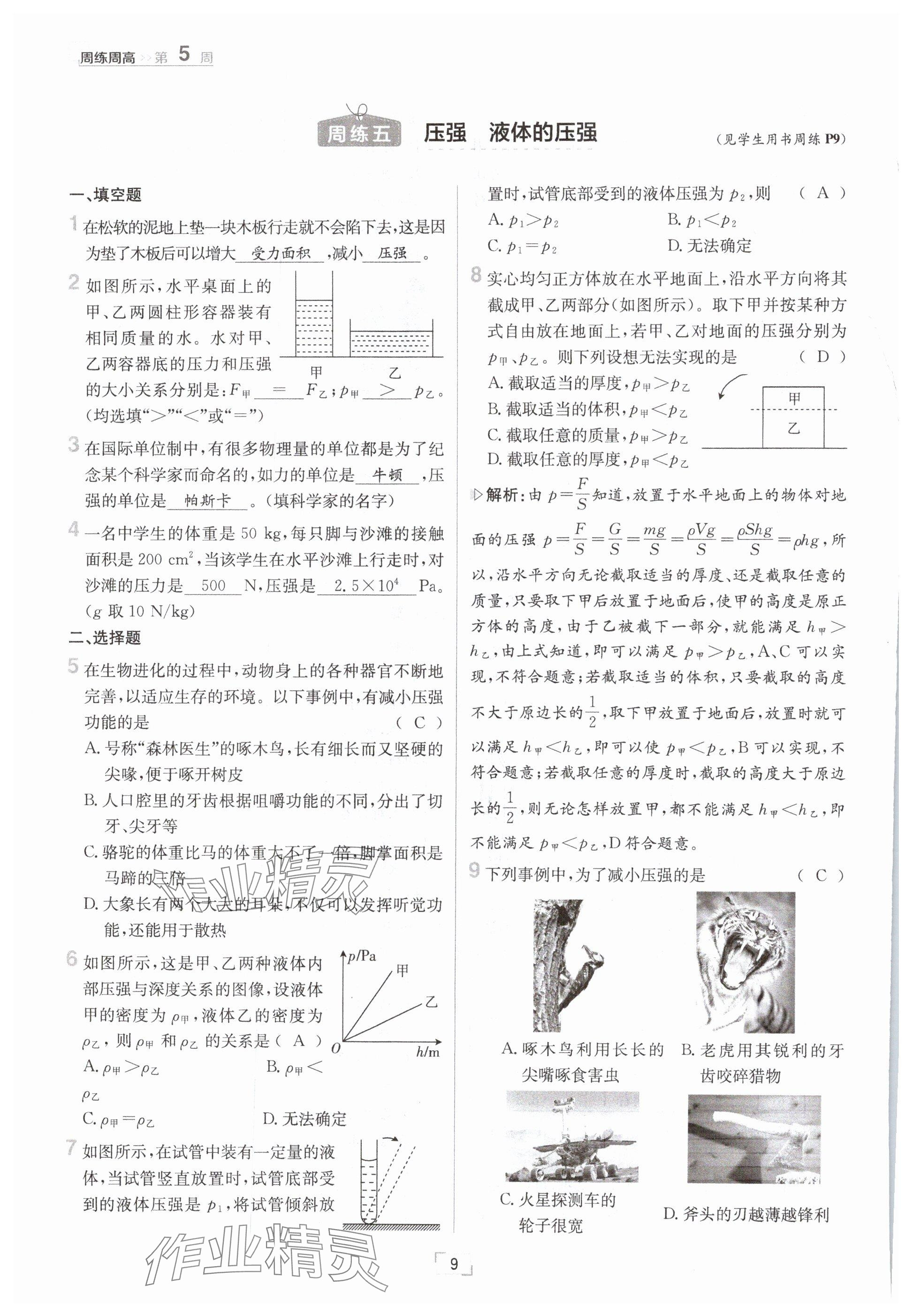2025年日清周練八年級(jí)物理下冊(cè)教科版 參考答案第9頁(yè)