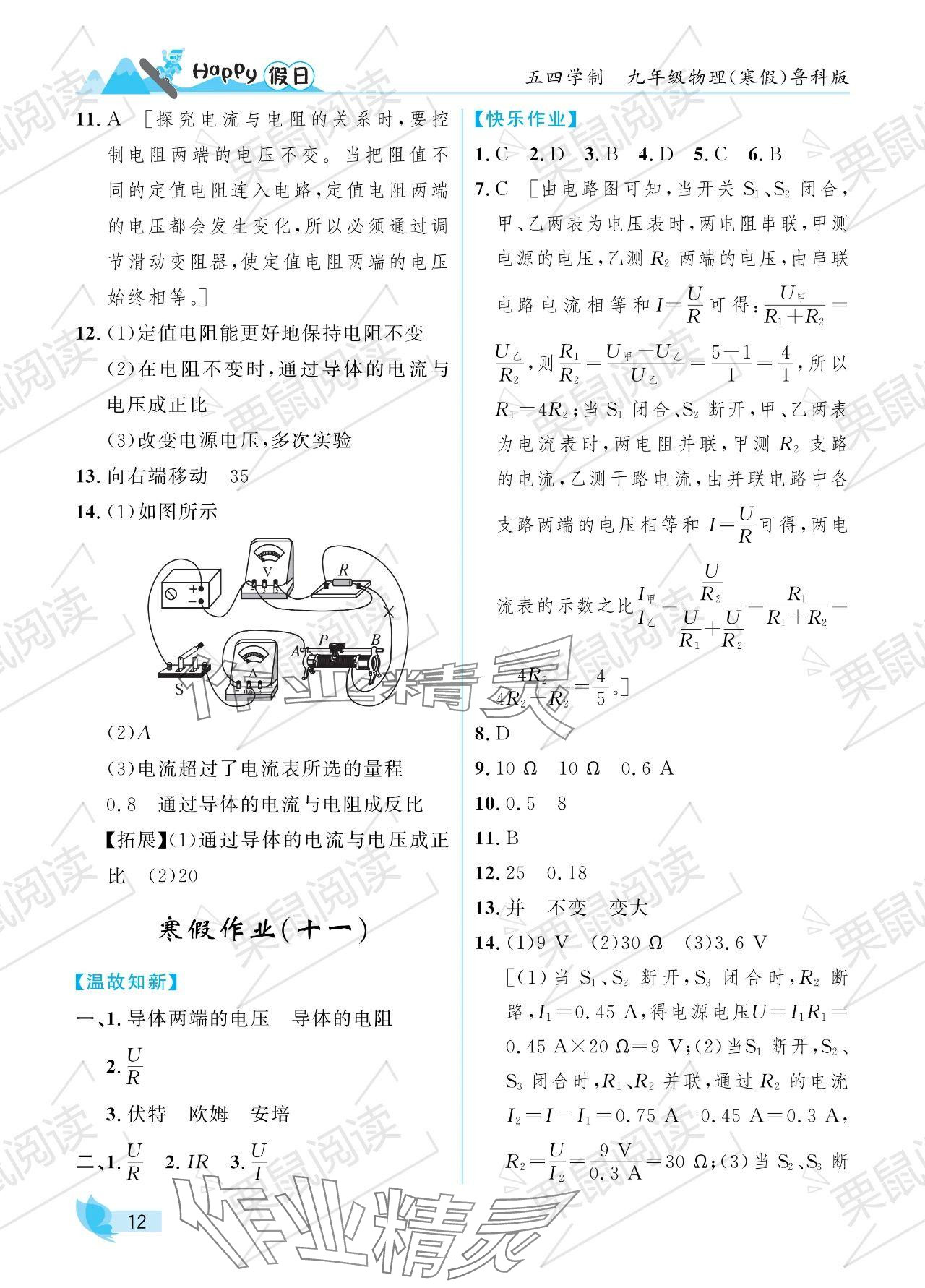 2024年寒假Happy假日九年级物理鲁科版五四制 参考答案第12页