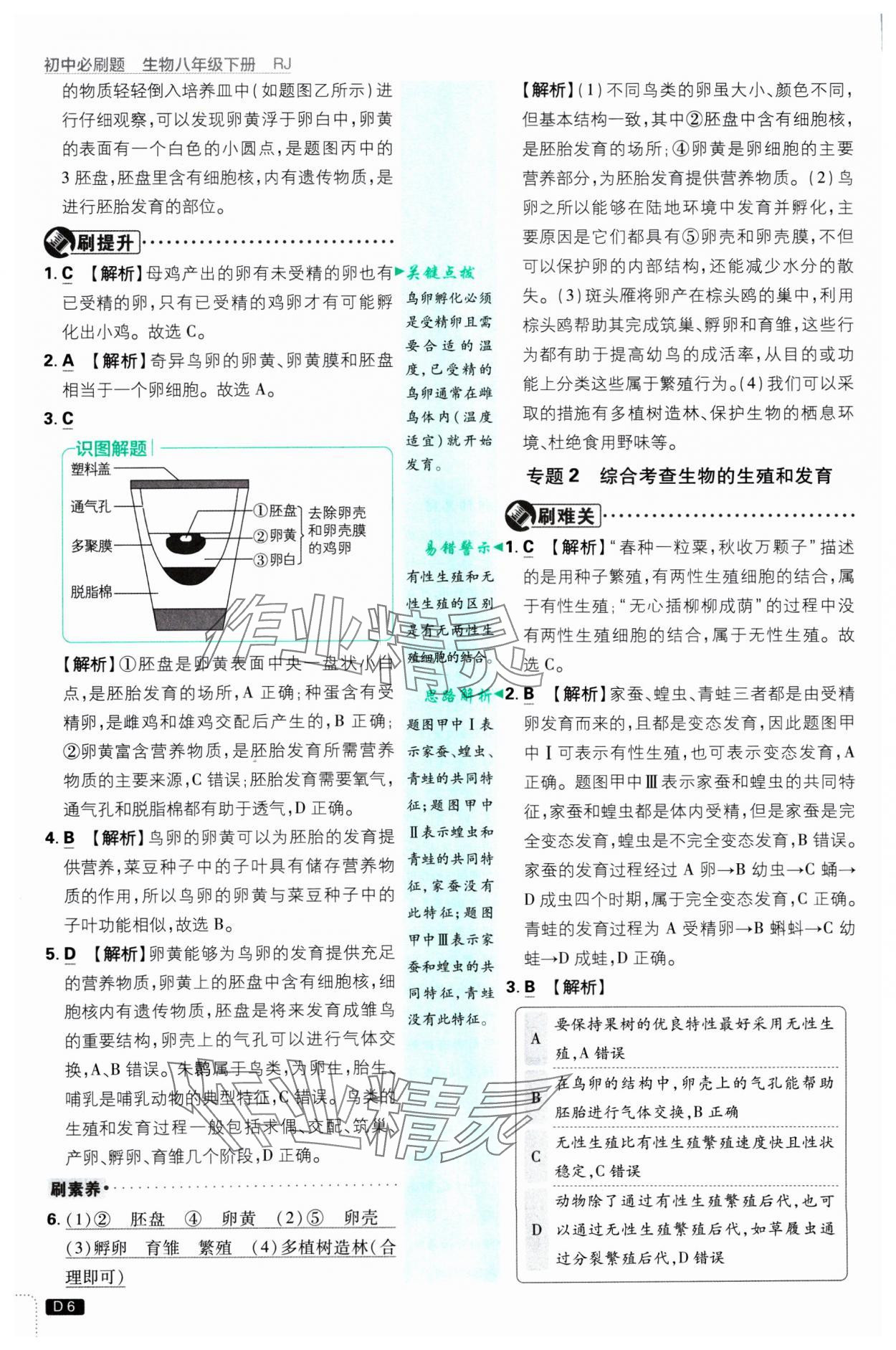 2025年初中必刷題八年級生物下冊人教版 參考答案第6頁