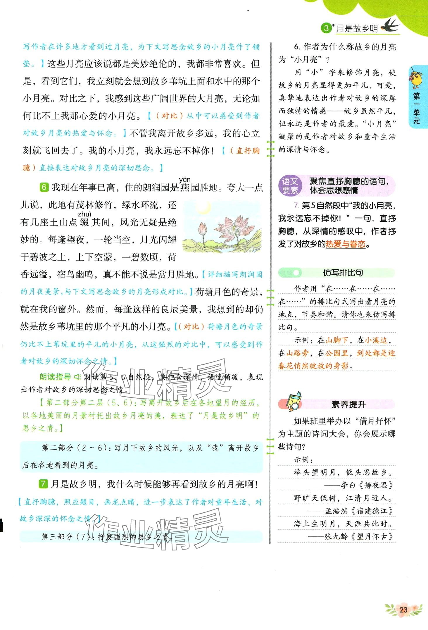 2024年教材課本五年級(jí)語(yǔ)文下冊(cè)人教版五四制 第23頁(yè)