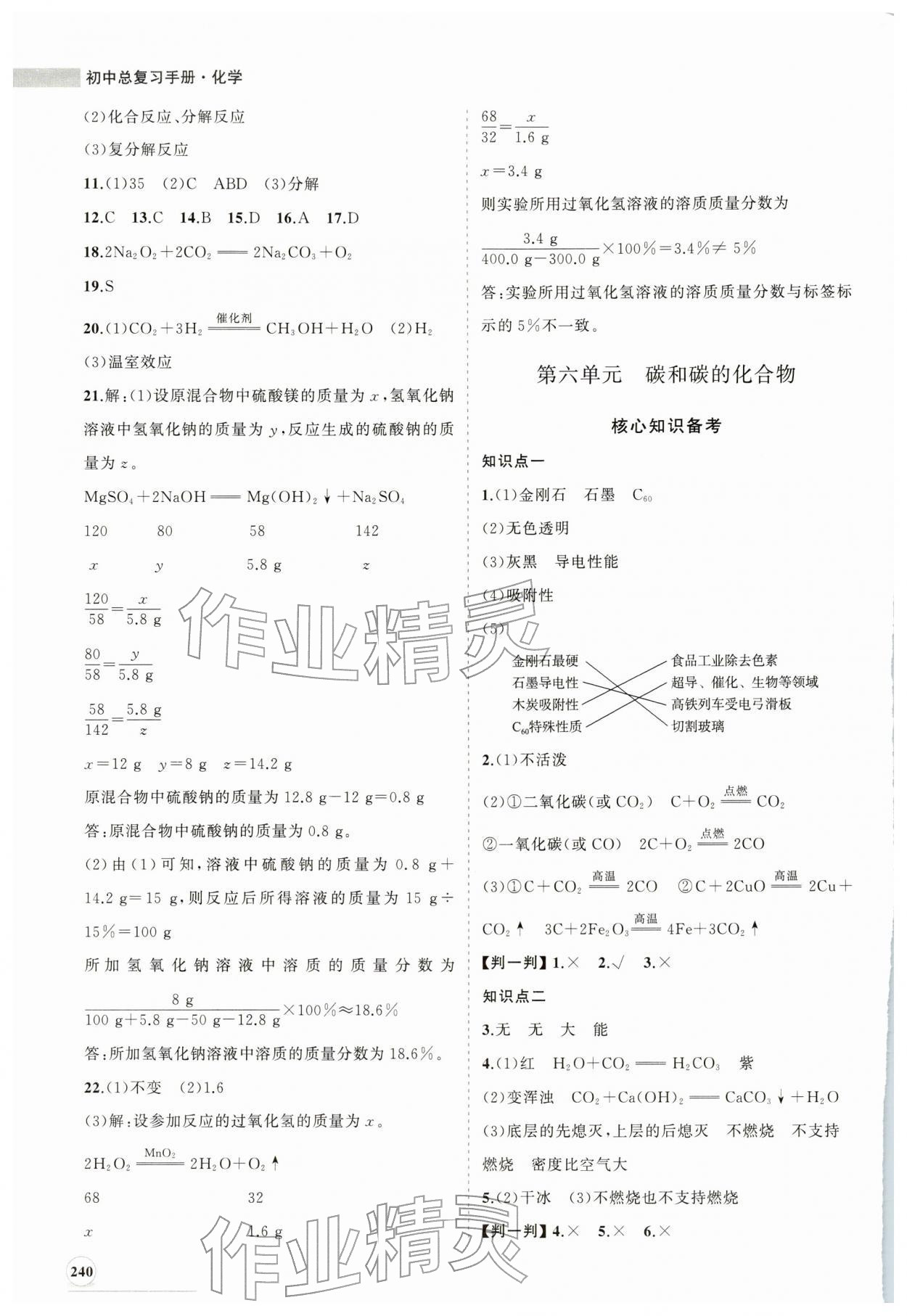 2026年初中總復習手冊山東人民出版社化學魯教版&nbsp;第8頁