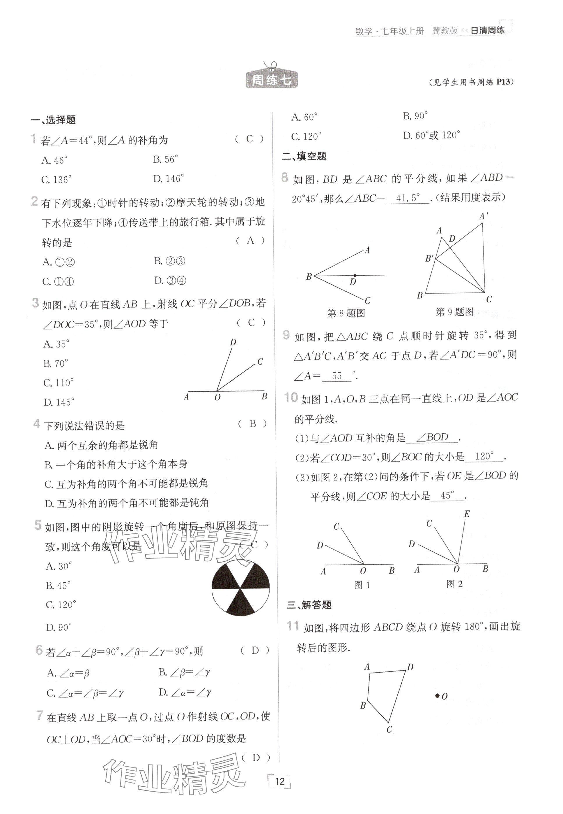 2024年日清周练七年级数学上册冀教版 参考答案第12页