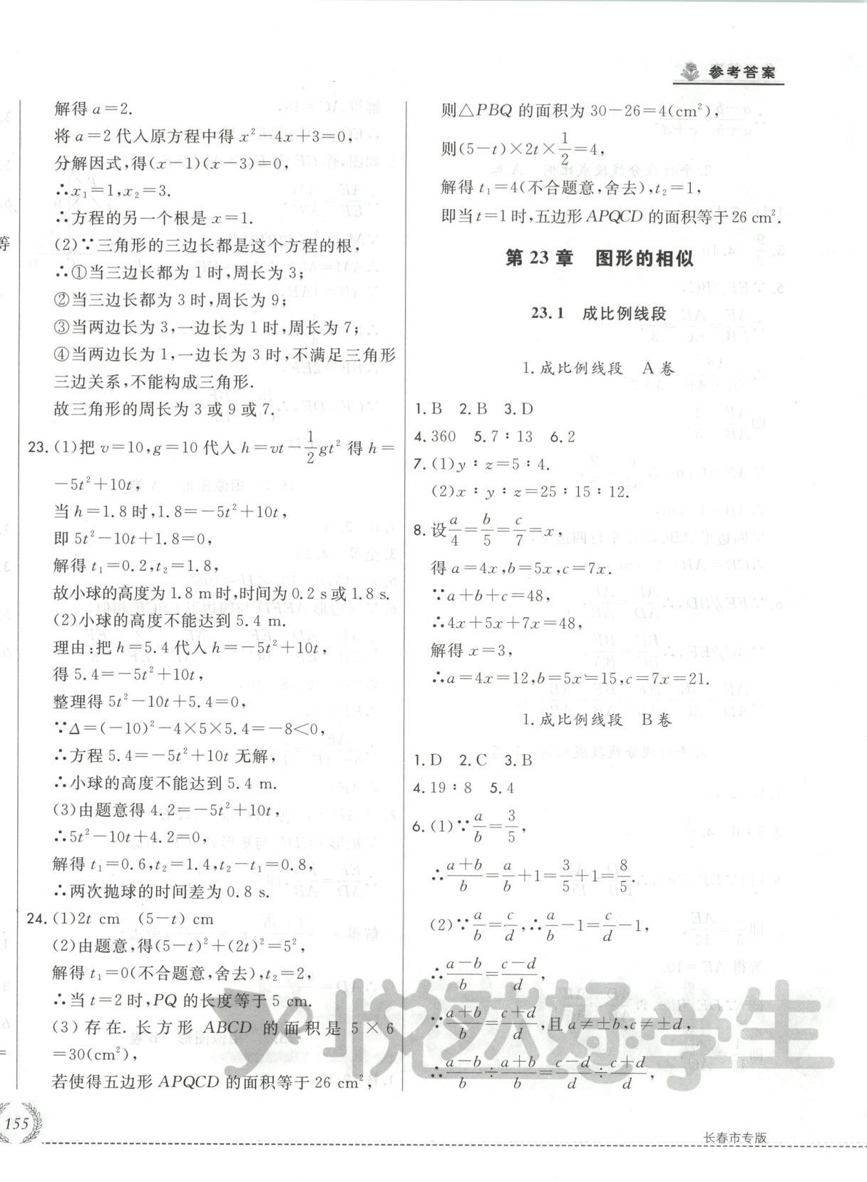 2025年悦然好学生必开卷九年级数学全一册华师大版长春专版 第14页