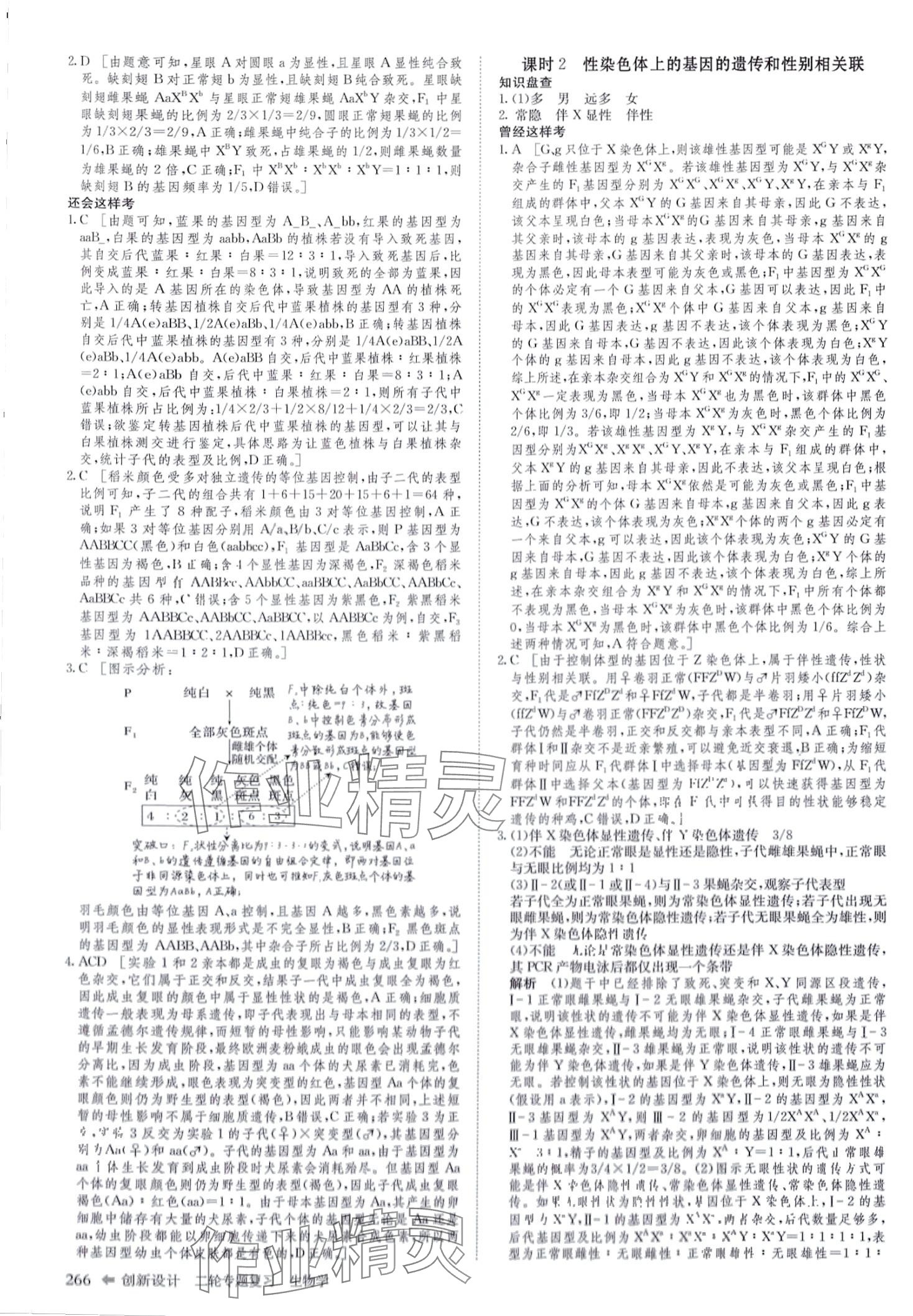 2024年創(chuàng)新設(shè)計(jì)二輪專題復(fù)習(xí)高三二輪生物 第11頁