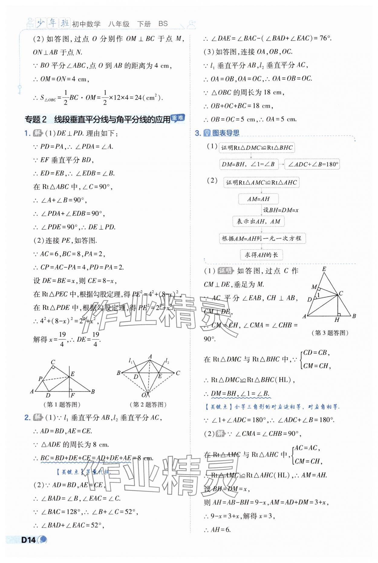 2025年少年班八年級(jí)數(shù)學(xué)下冊北師大版 第14頁