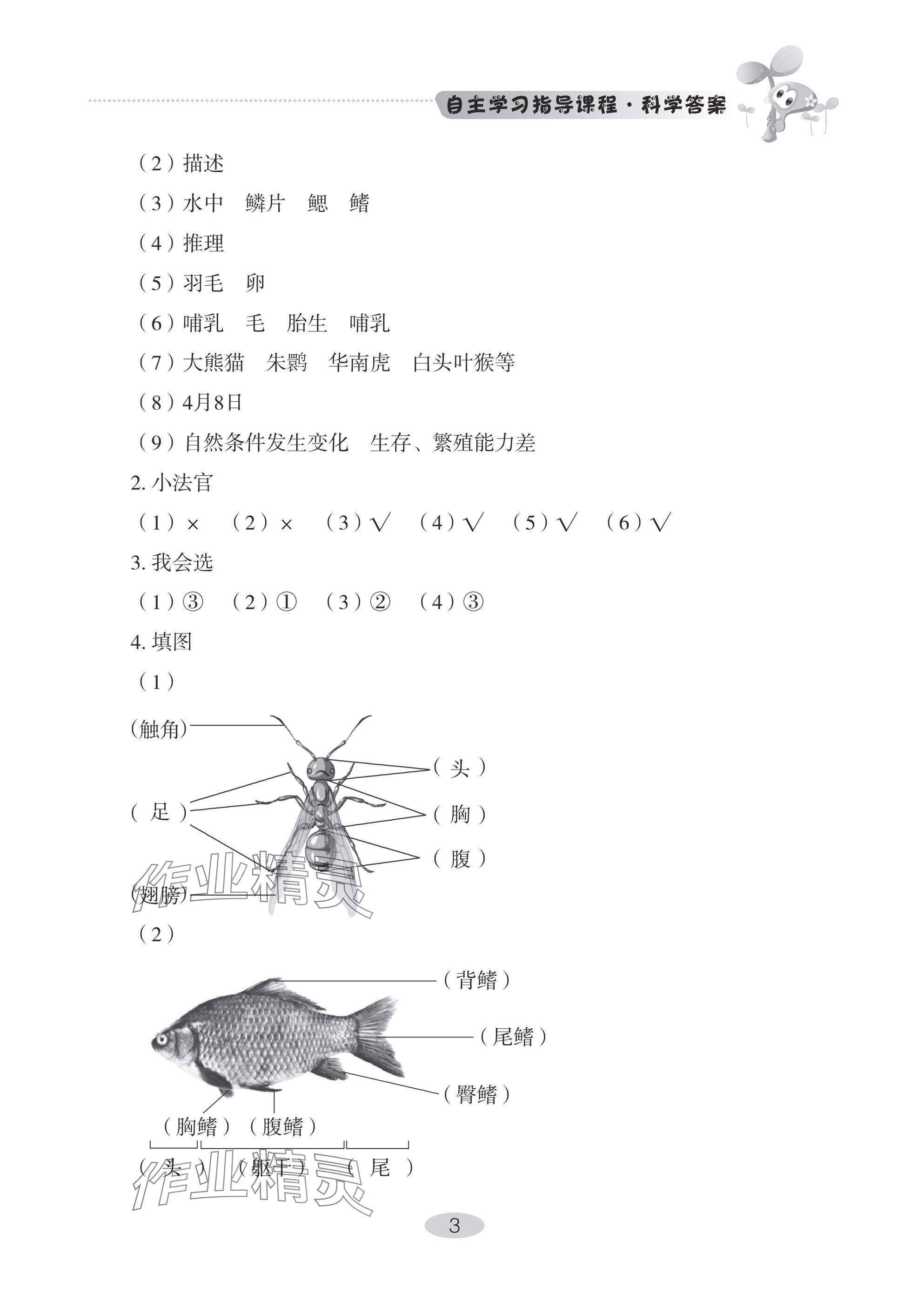 2024年自主學習指導課程四年級科學上冊青島版 參考答案第3頁