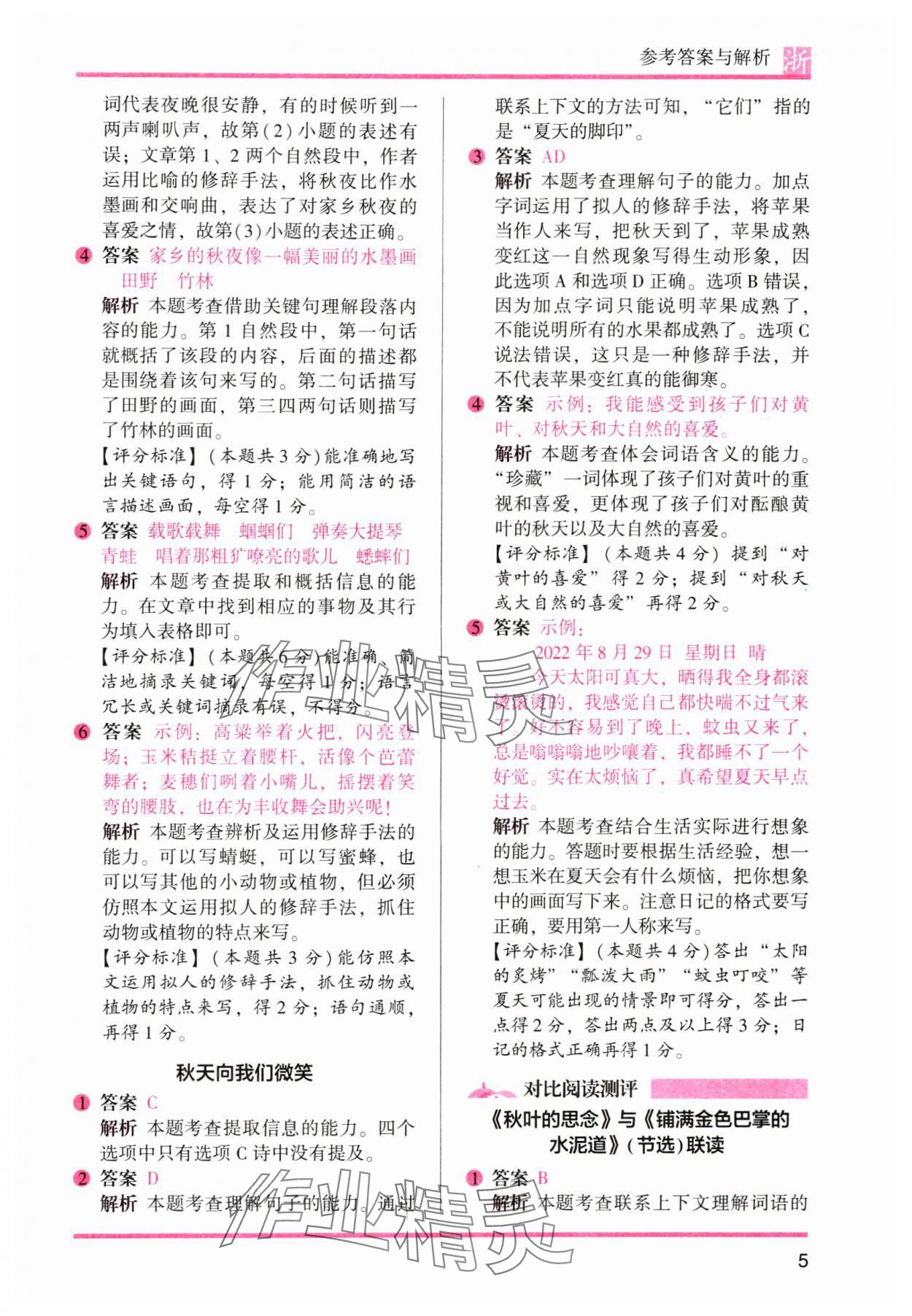 2023年木頭馬閱讀力測評三年級語文上冊人教版浙江專版 第5頁