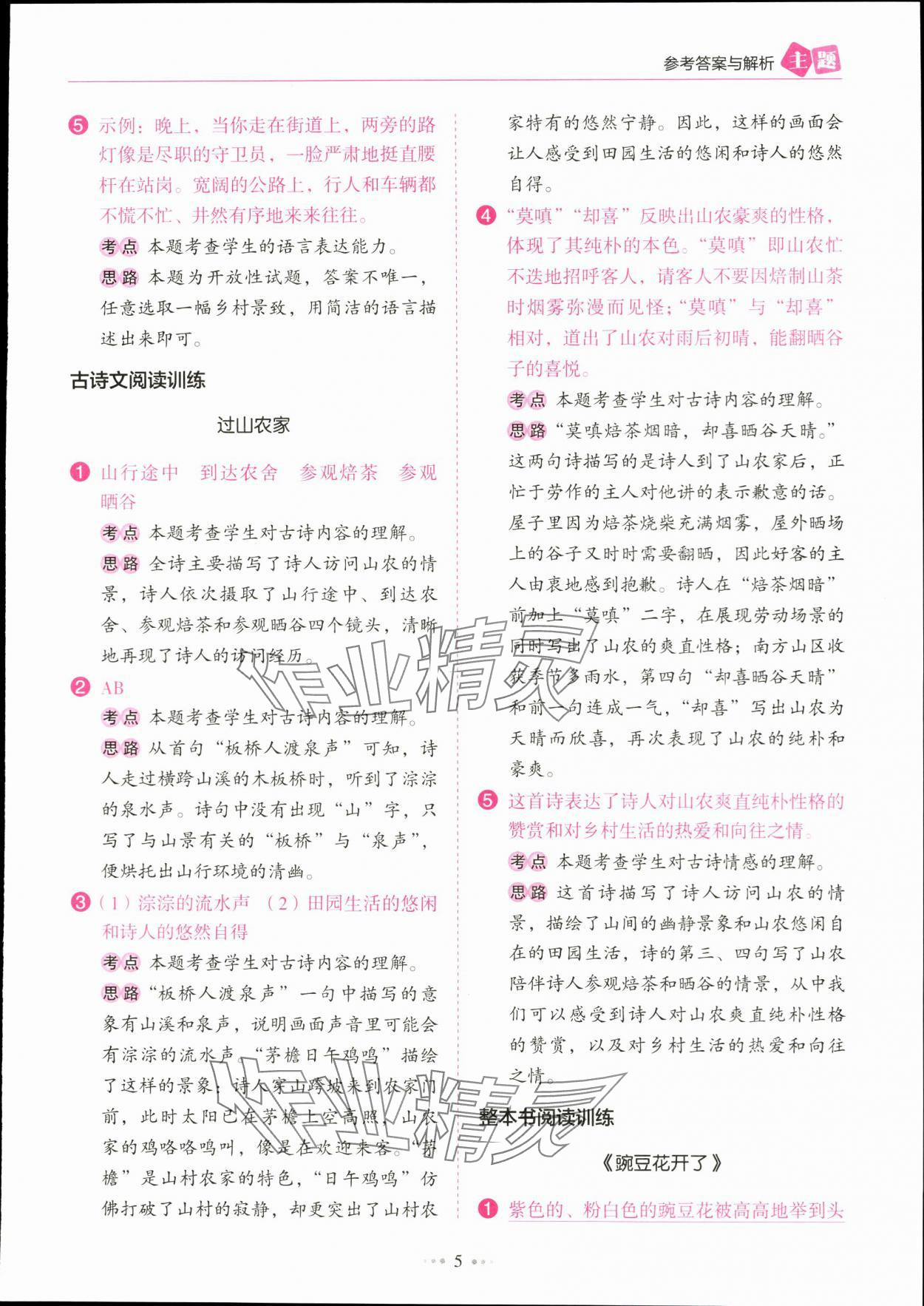 2024年主題閱讀訓(xùn)練100分四年級語文下冊人教版浙江專版 參考答案第5頁