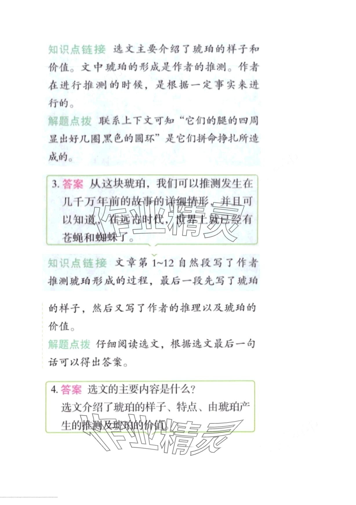 2024年黃岡學霸天天練四年級語文下冊人教版 第12頁