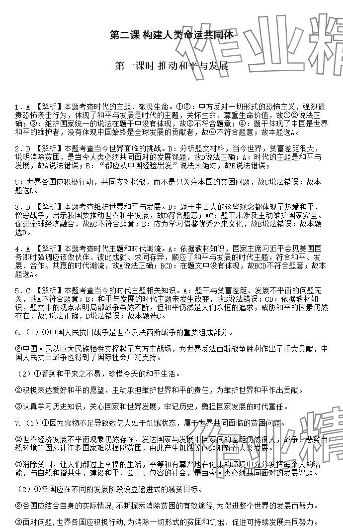 2025年知識與能力訓練九年級道德與法治下冊人教版 參考答案第3頁