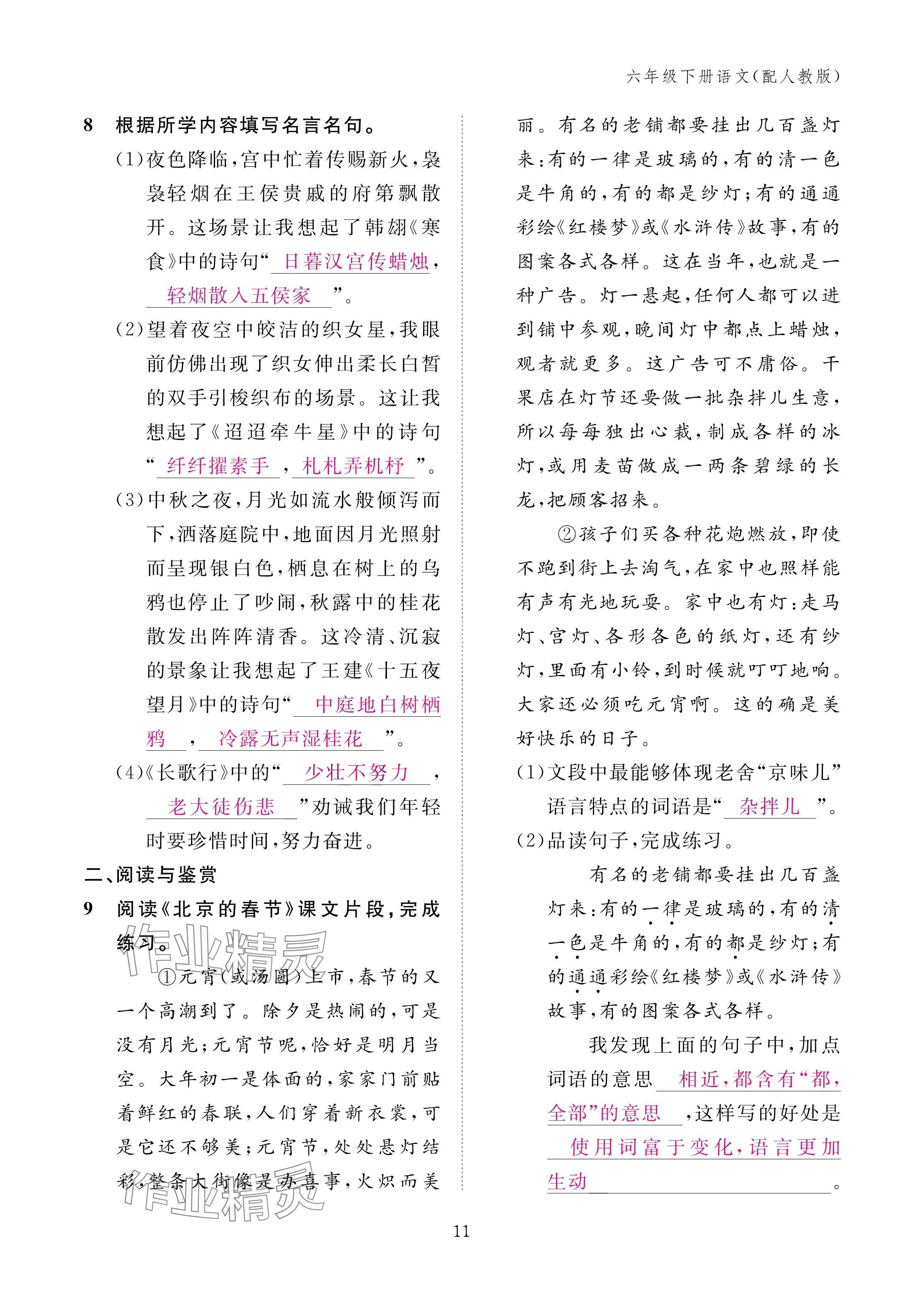2025年作業(yè)本江西教育出版社六年級(jí)語文下冊人教版 參考答案第11頁