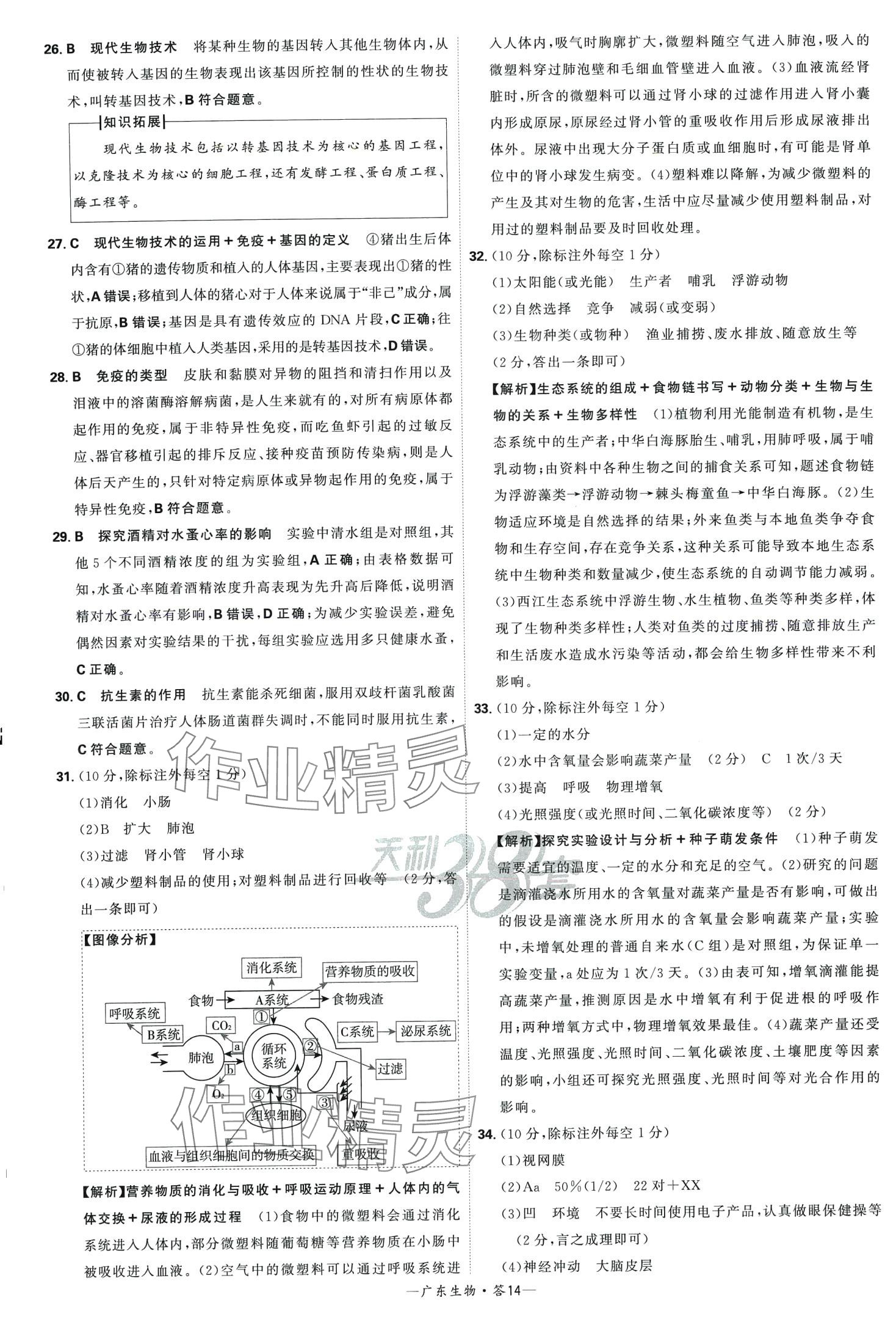 2024年天利38套中考試題精選生物中考廣東專版 第14頁