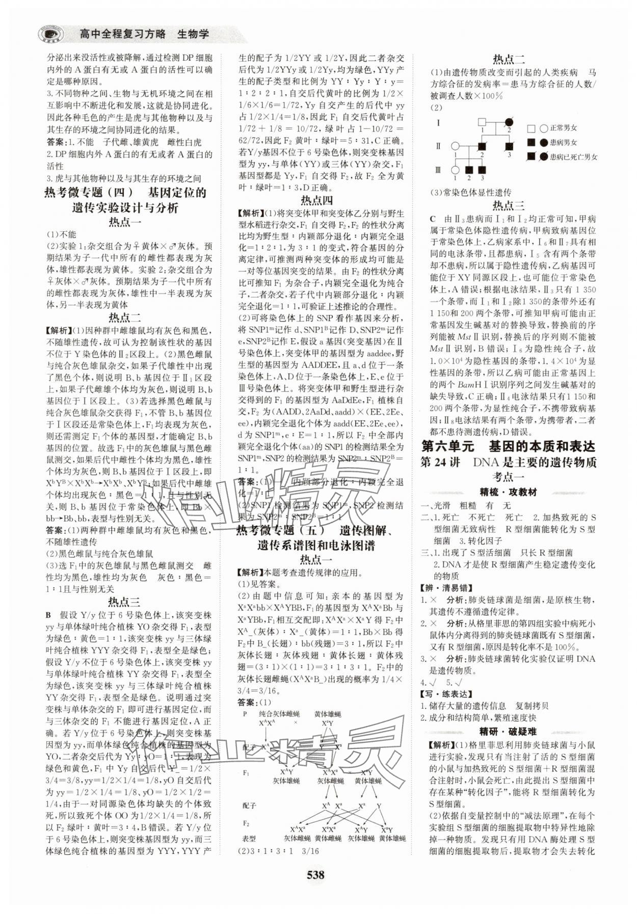 2025年世紀金榜高中全程復習方略生物&nbsp;第22頁