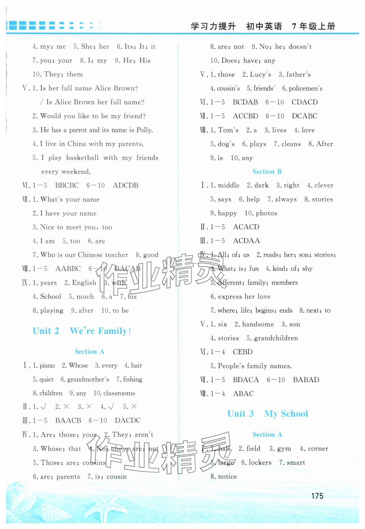2025年学习力提升七年级英语上册人教版 第3页