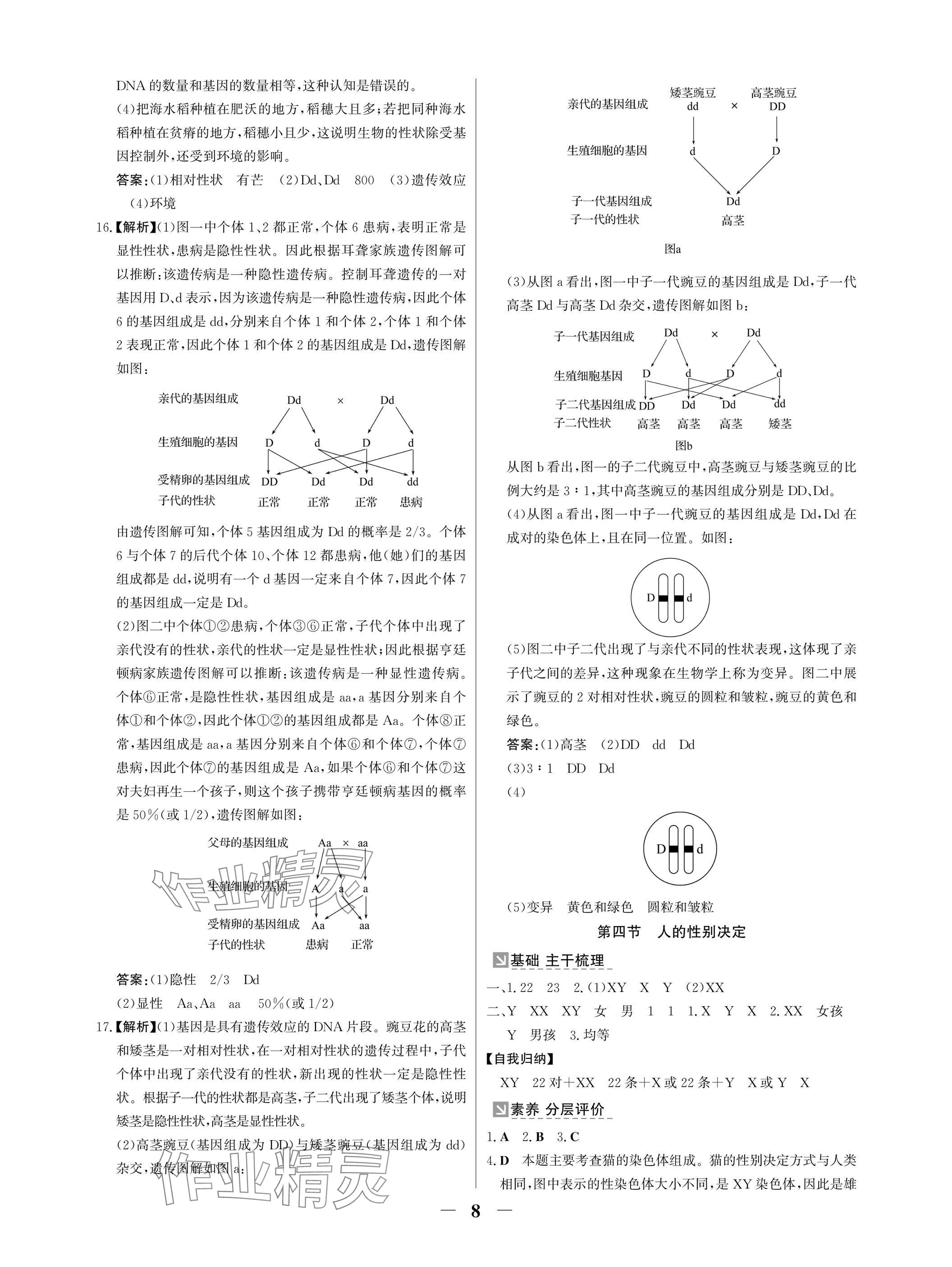 2025年南方新課堂金牌學案八年級生物下冊人教版深圳專版 參考答案第8頁
