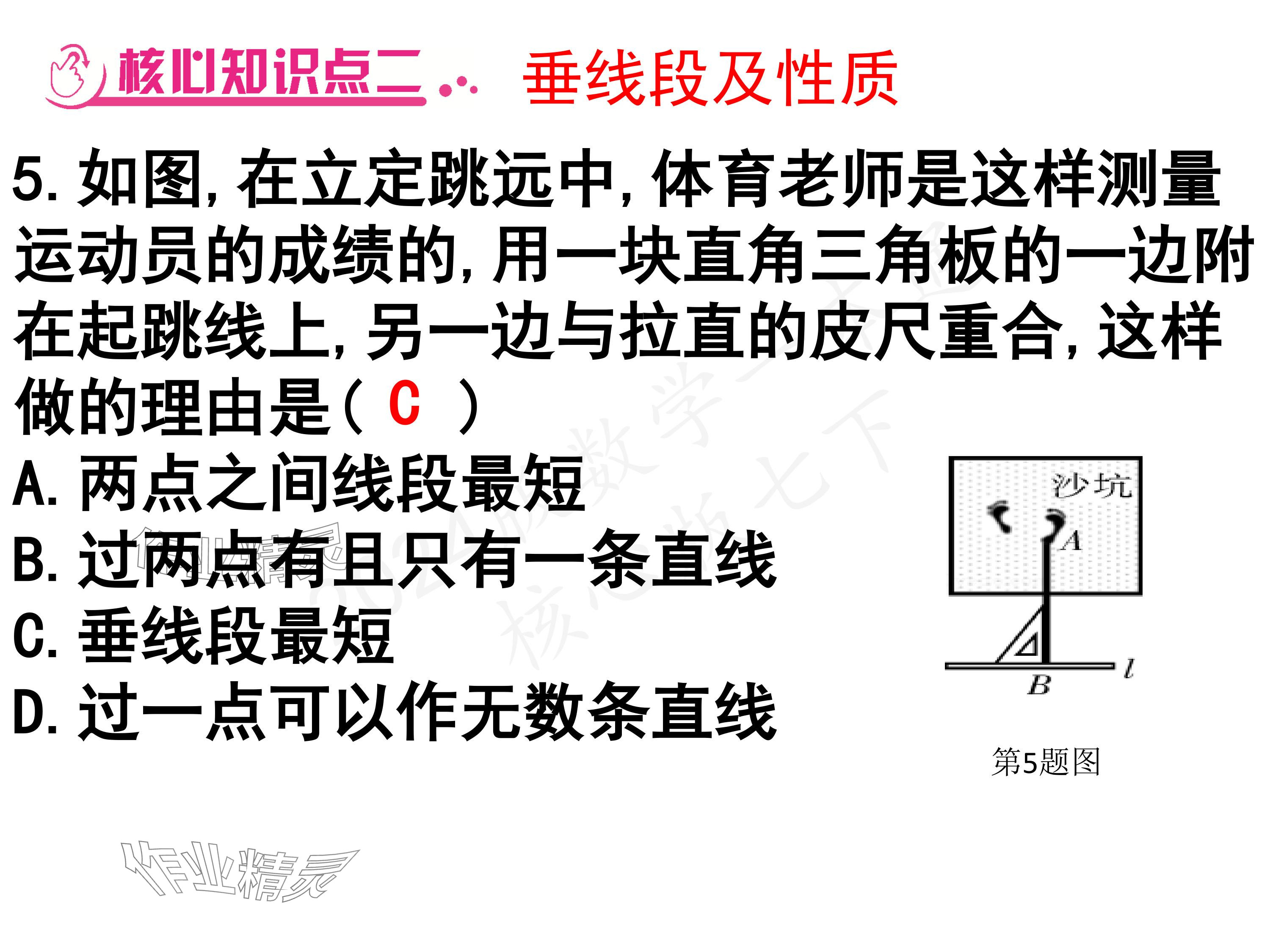 2024年一本通武汉出版社七年级数学下册北师大版 参考答案第45页