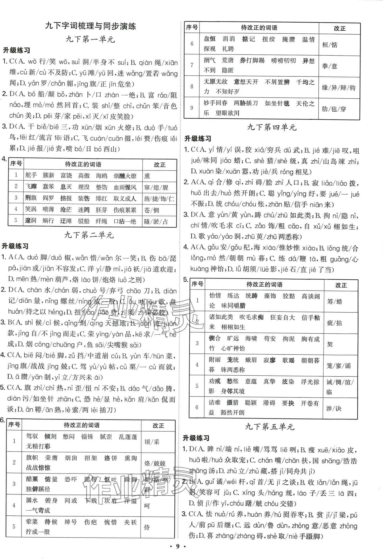 2024年精準初中語文一本通 第9頁
