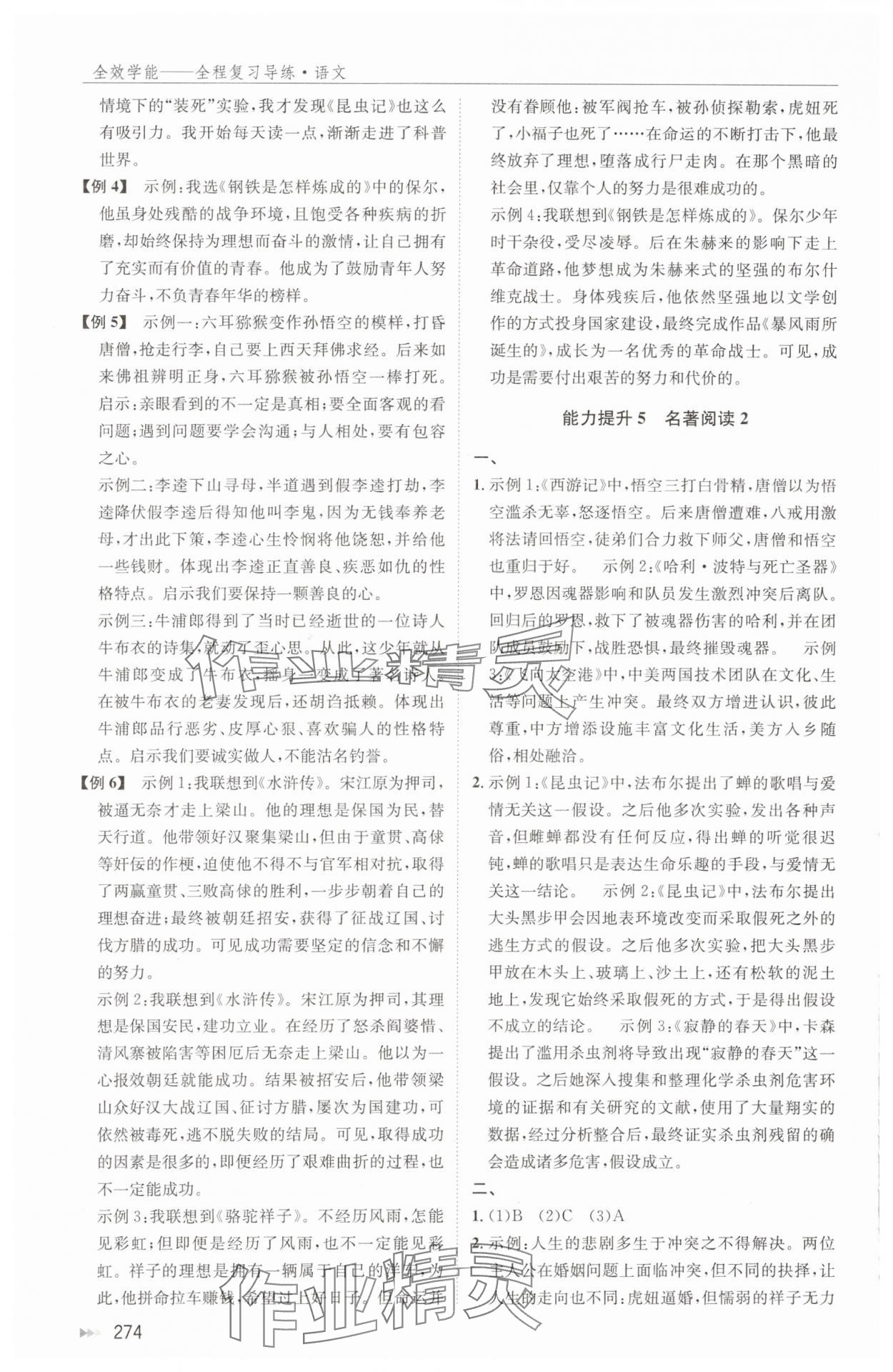 2024年全效學(xué)能全程復(fù)習(xí)導(dǎo)練中考語文 第8頁