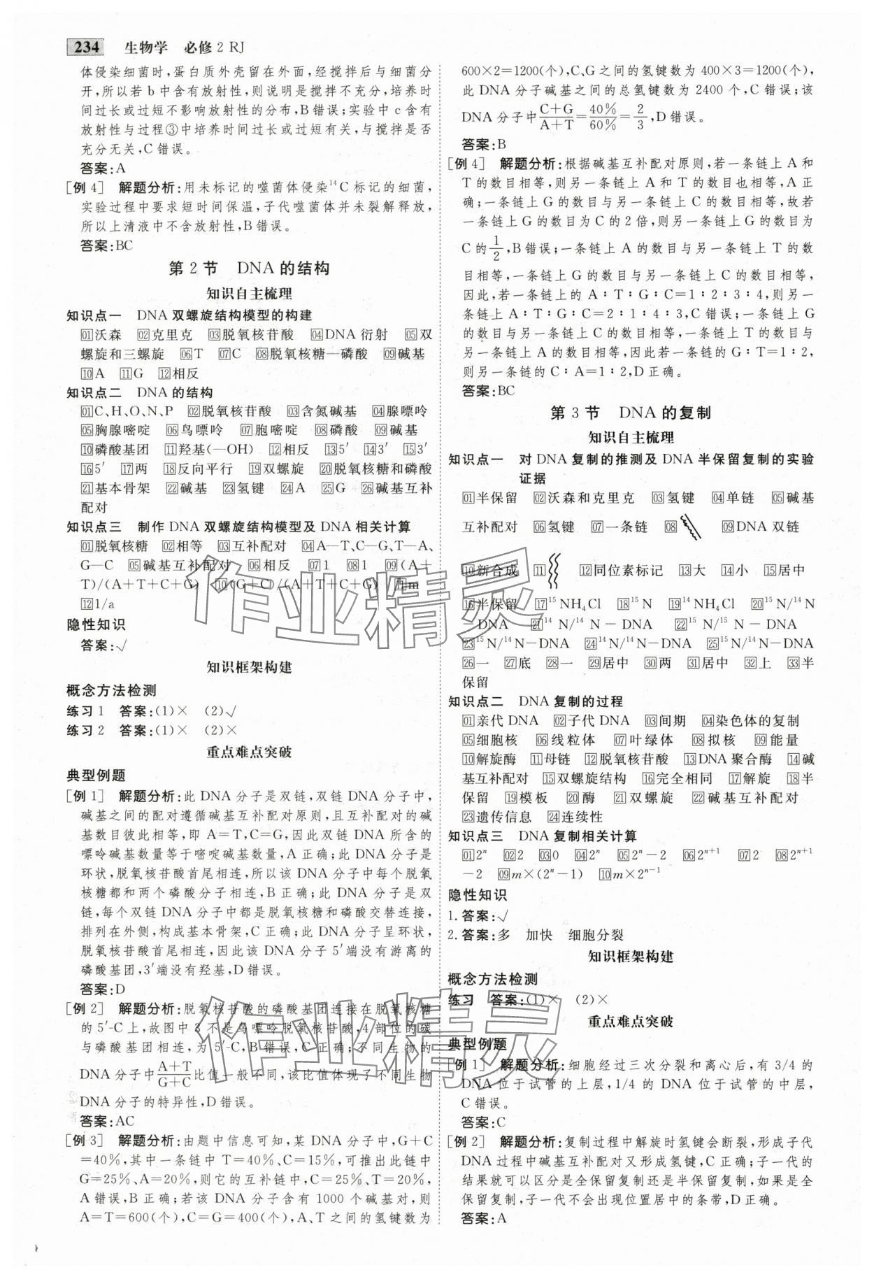 2025年金版教程高中新課程創新導學案生物必修2人教版 參考答案第12頁