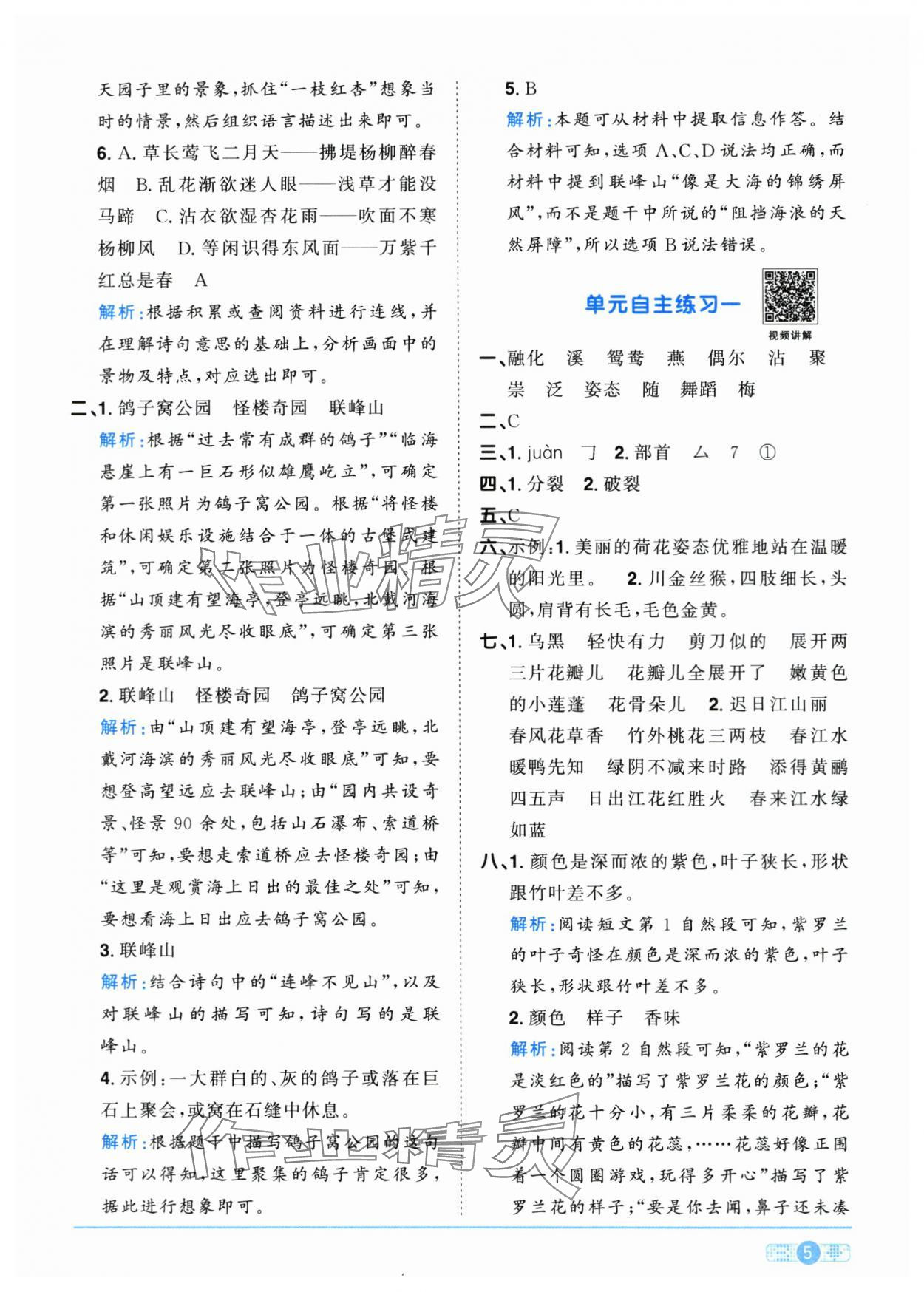 2024年阳光同学课时优化作业三年级语文下册人教版菏泽专版 参考答案第5页