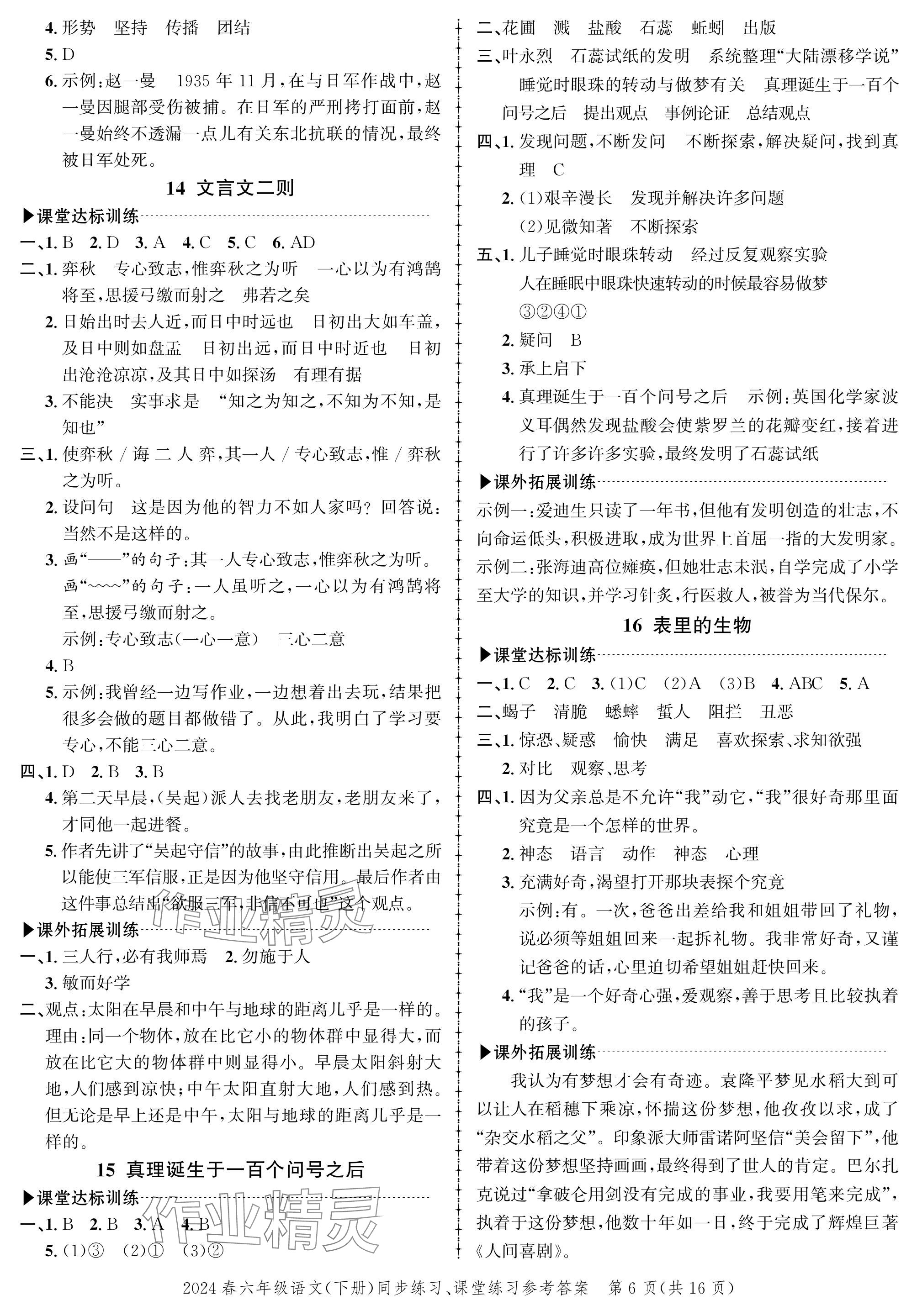 2024年創(chuàng)新作業(yè)同步練習(xí)六年級語文下冊人教版 參考答案第6頁