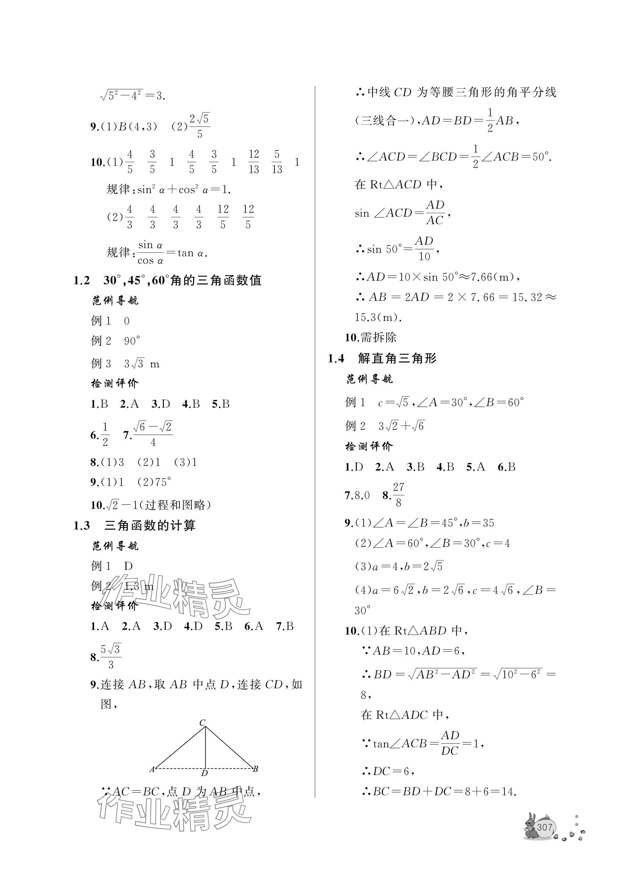 2025年新课程助学丛书九年级数学全一册北师大版 参考答案第25页