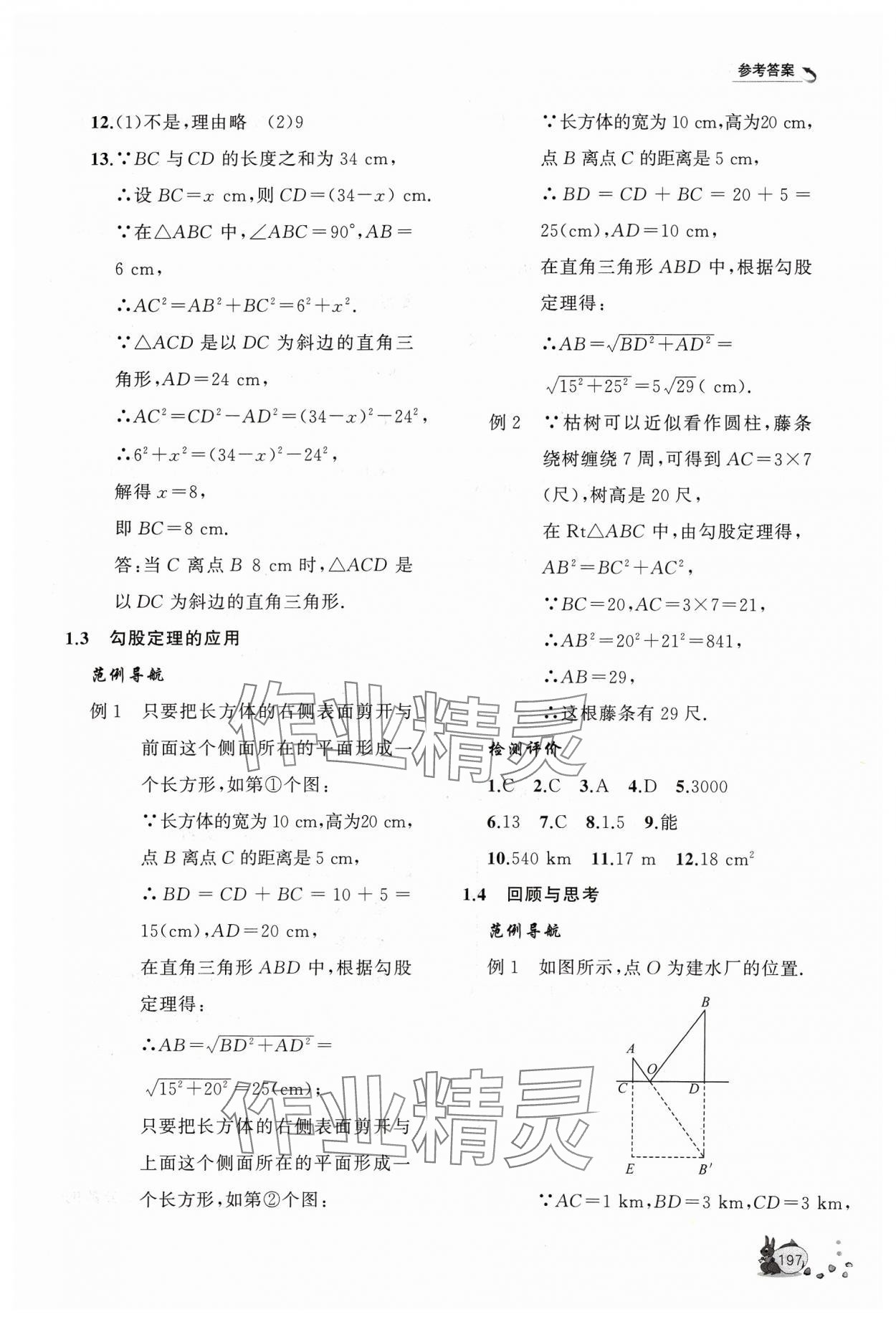 2023年新课程助学丛书八年级数学上册北师大版 第3页