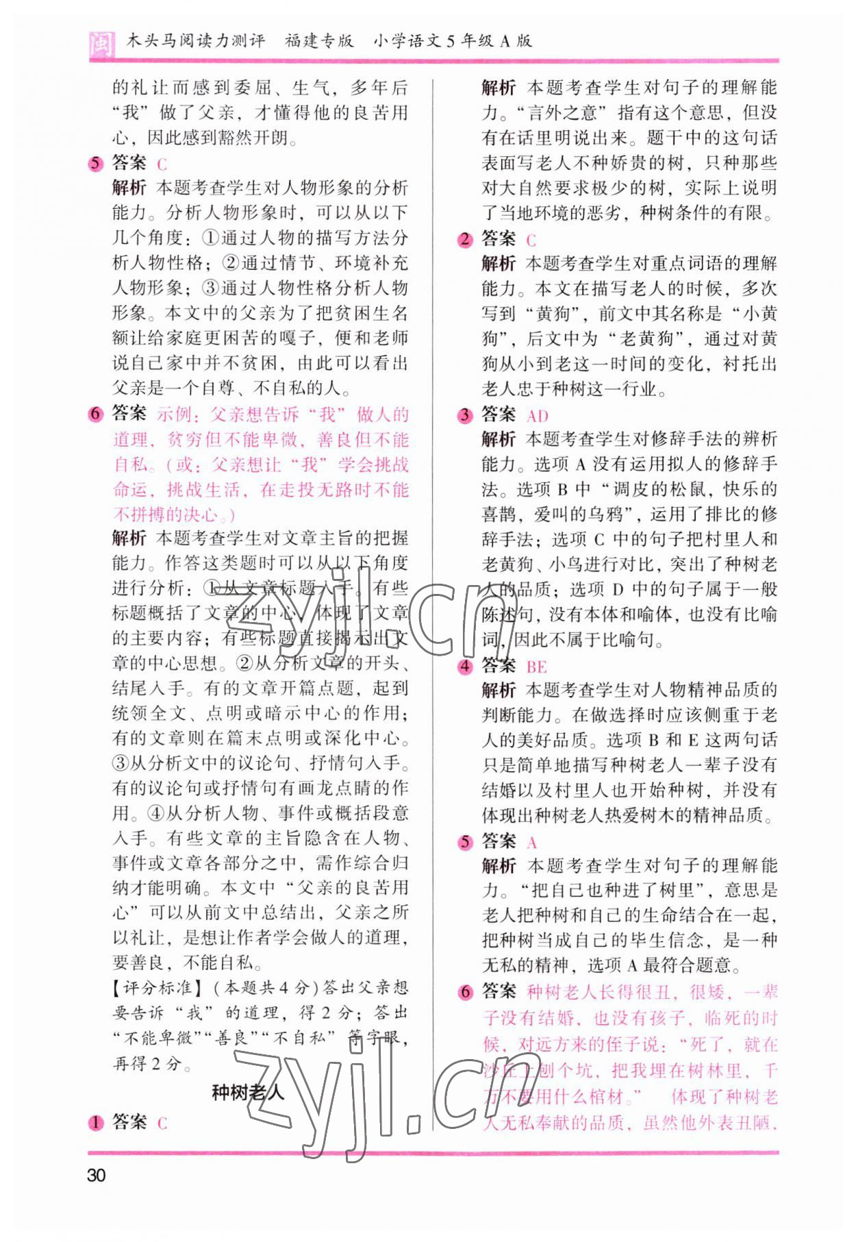 2023年木頭馬閱讀力測評(píng)五年級(jí)語文部編版A版福建專版 第13頁