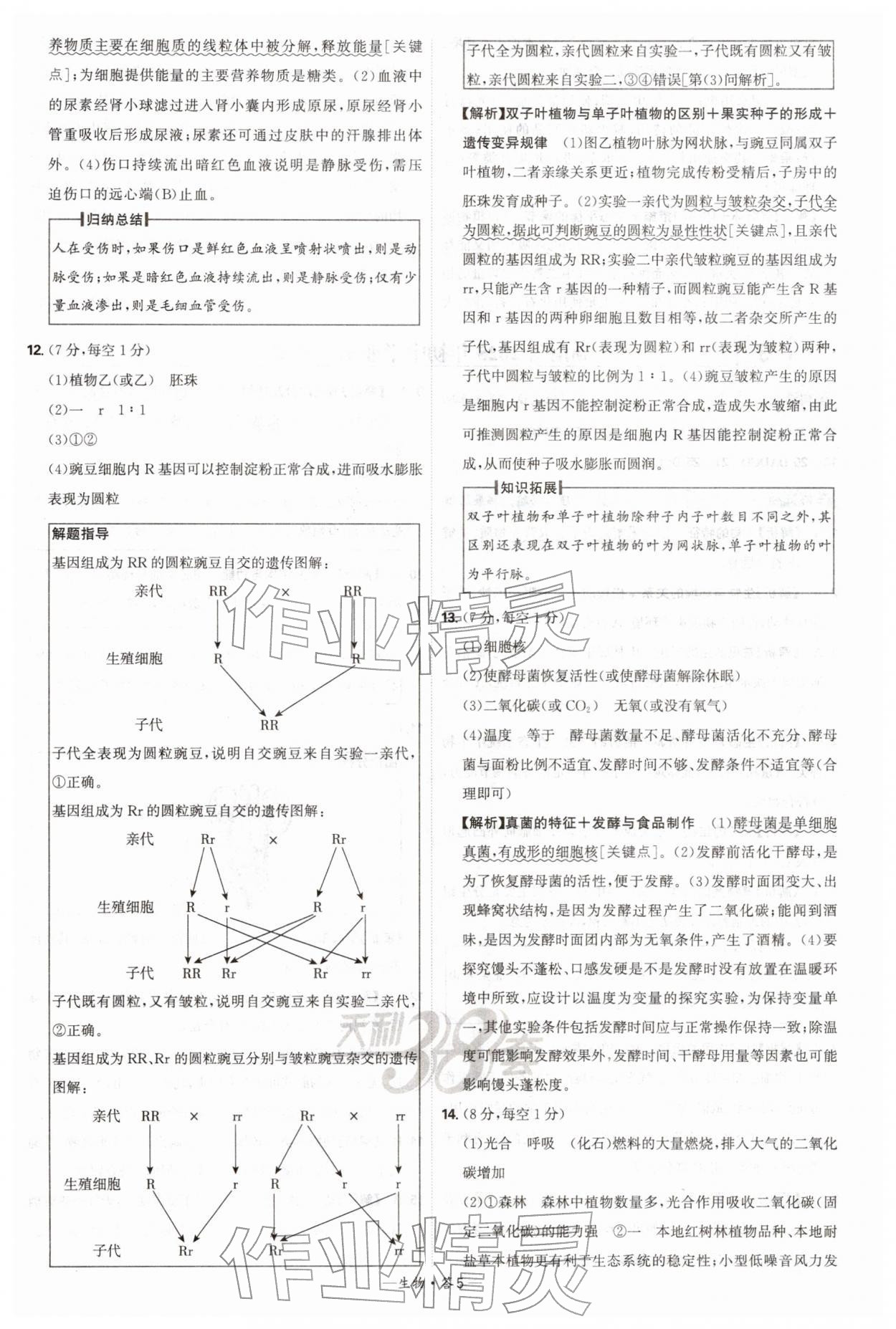 2026年天利38套新课标全国中考试题精选生物 第5页