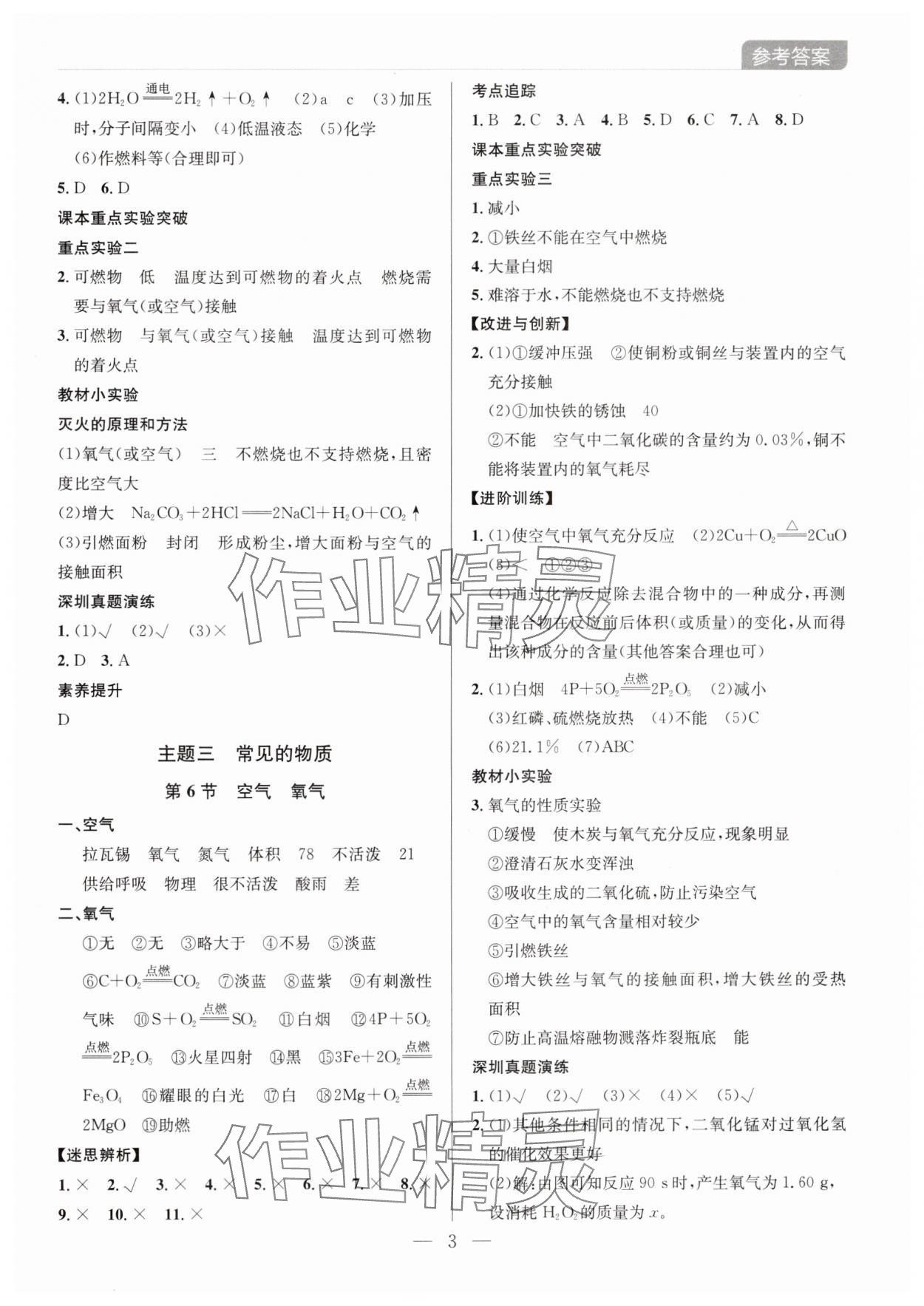 2025年廣東名師講練通中考總復習化學深圳專版 第3頁