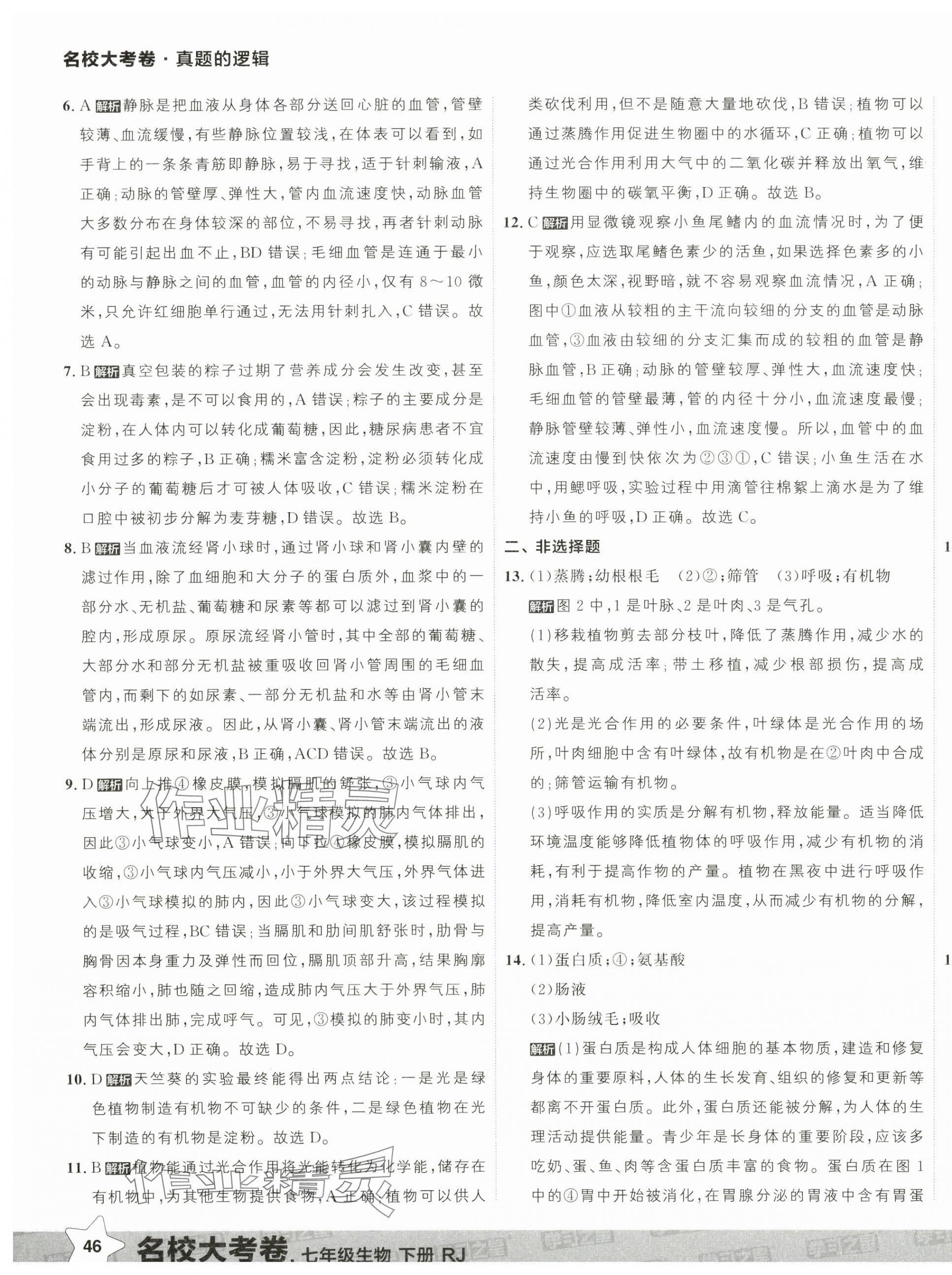 2025年名校大考卷七年級生物下冊人教版大連專版 第11頁