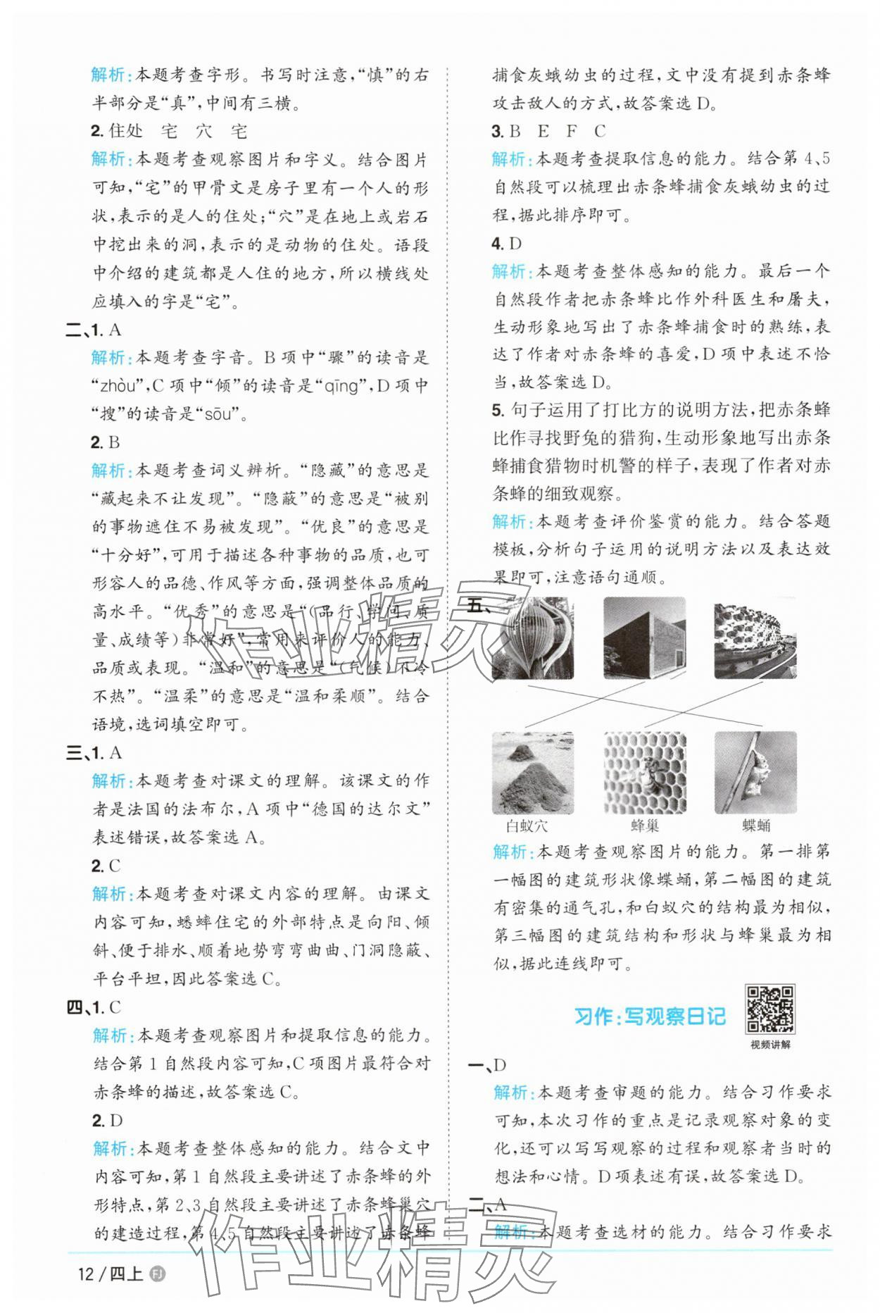 2025年陽光同學(xué)課時(shí)優(yōu)化作業(yè)四年級(jí)語文上冊(cè)人教版福建專版 第12頁