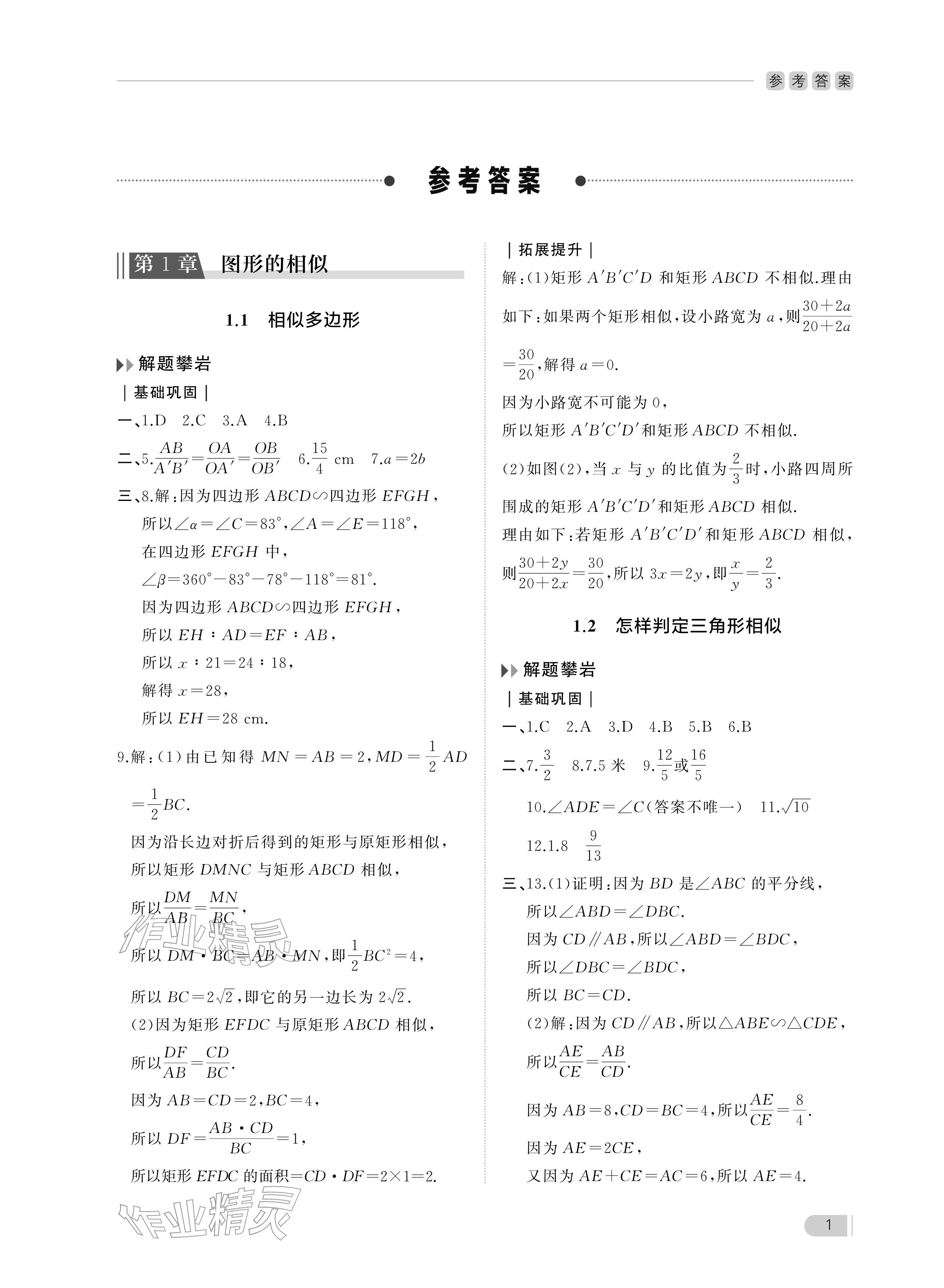2025年行知天下九年级数学上册青岛版 参考答案第1页