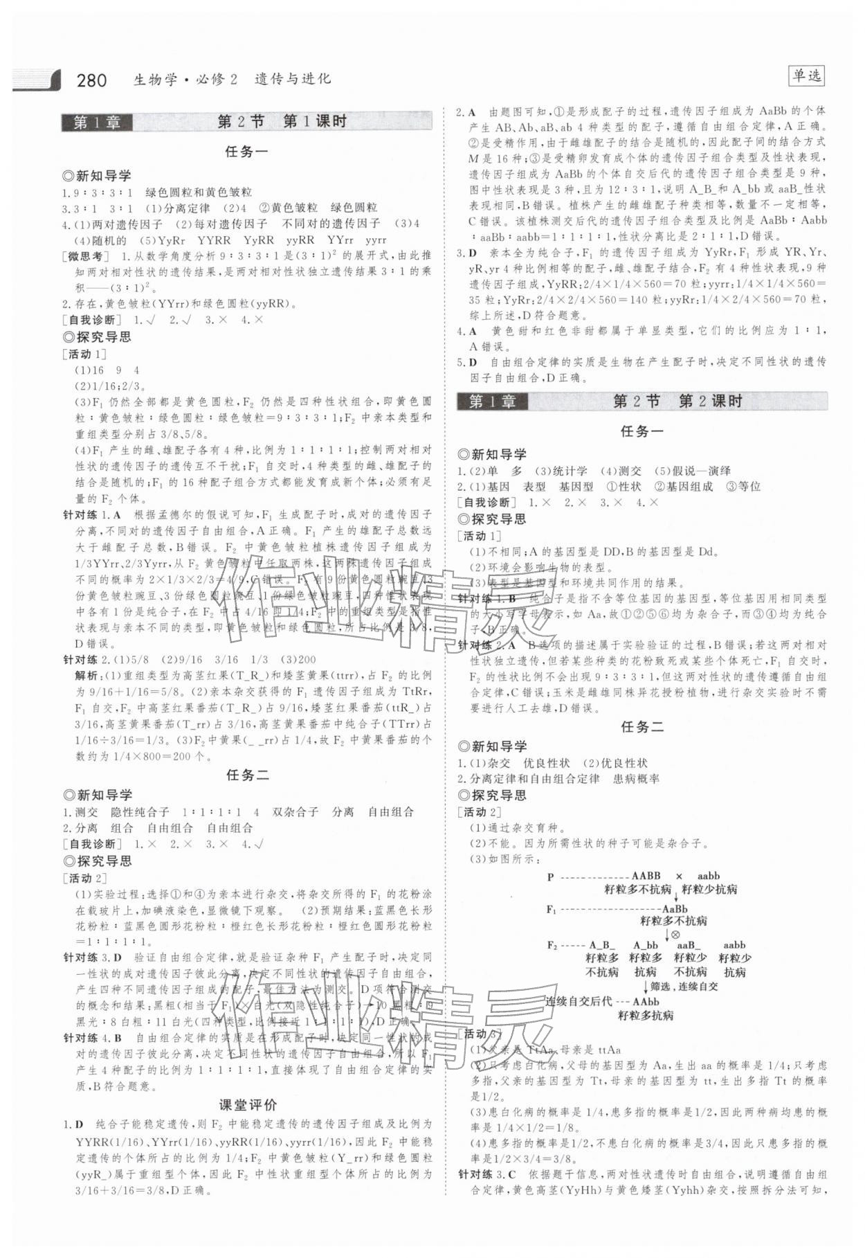 2025年金版新學案高中生物必修第二冊人教版 參考答案第3頁