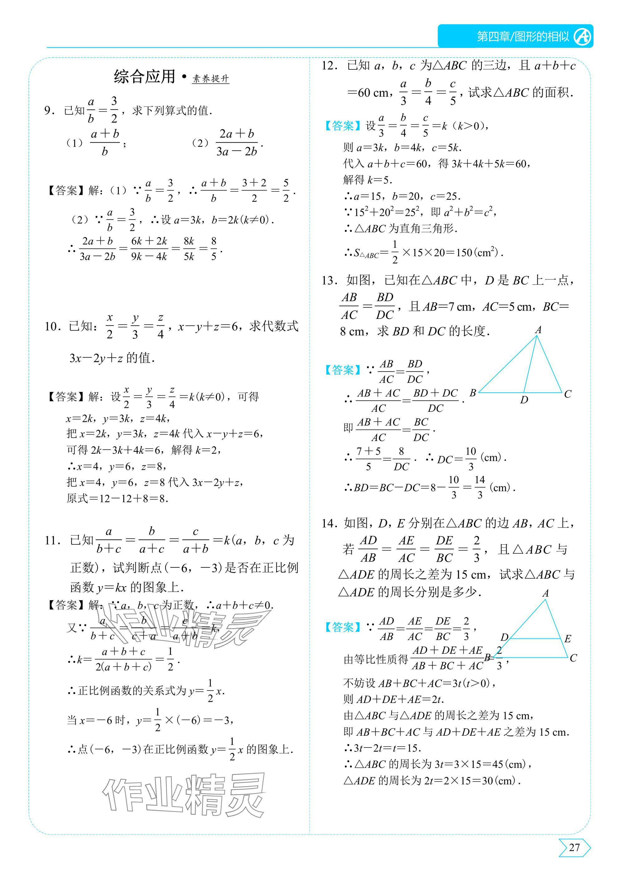 2025年A典演练九年级数学上册北师大版&nbsp;参考答案第29页