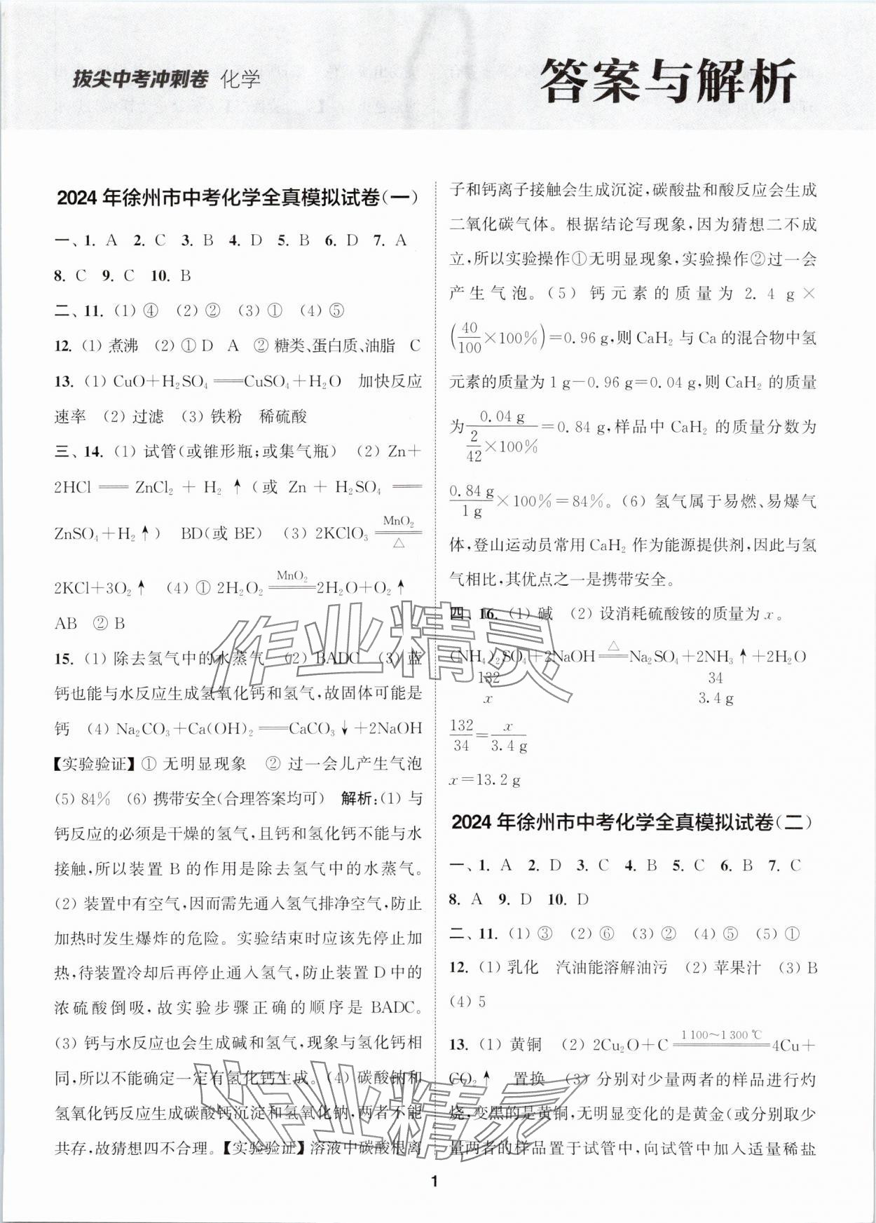 2024年拔尖中考沖刺卷化學徐州專版 第1頁